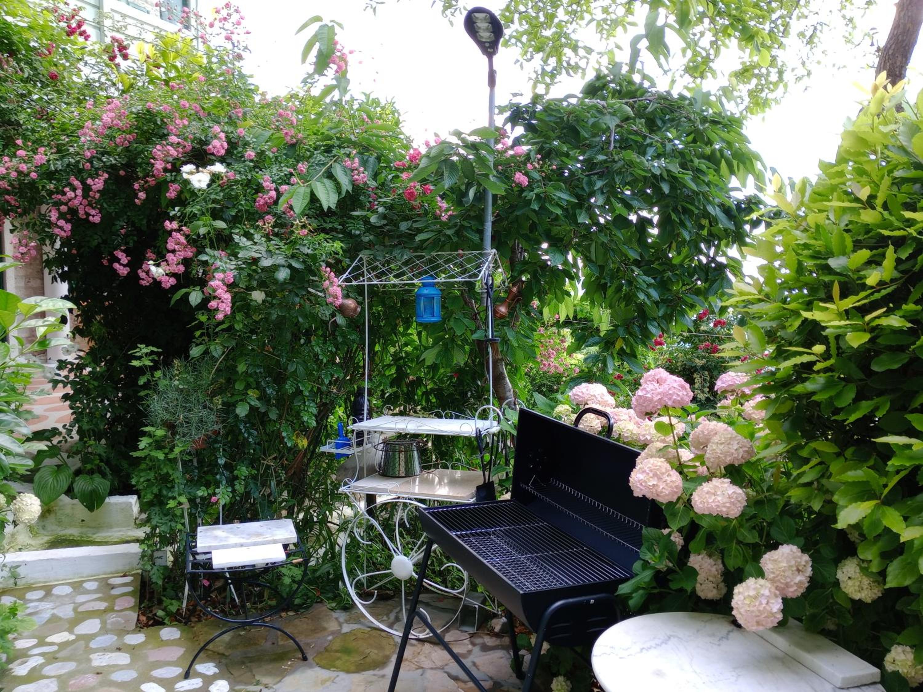 Penelope suite