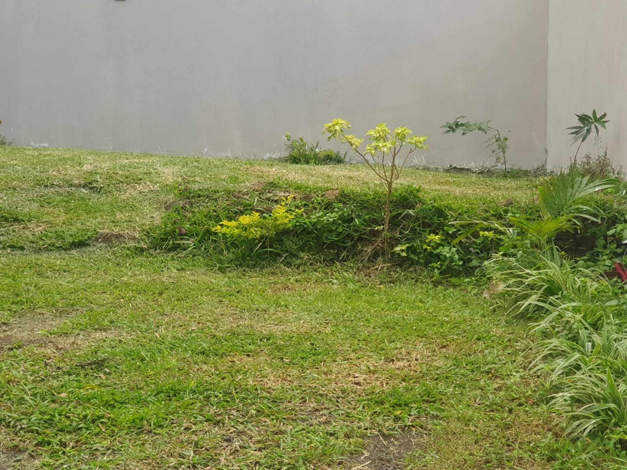 House in curepipe view 4