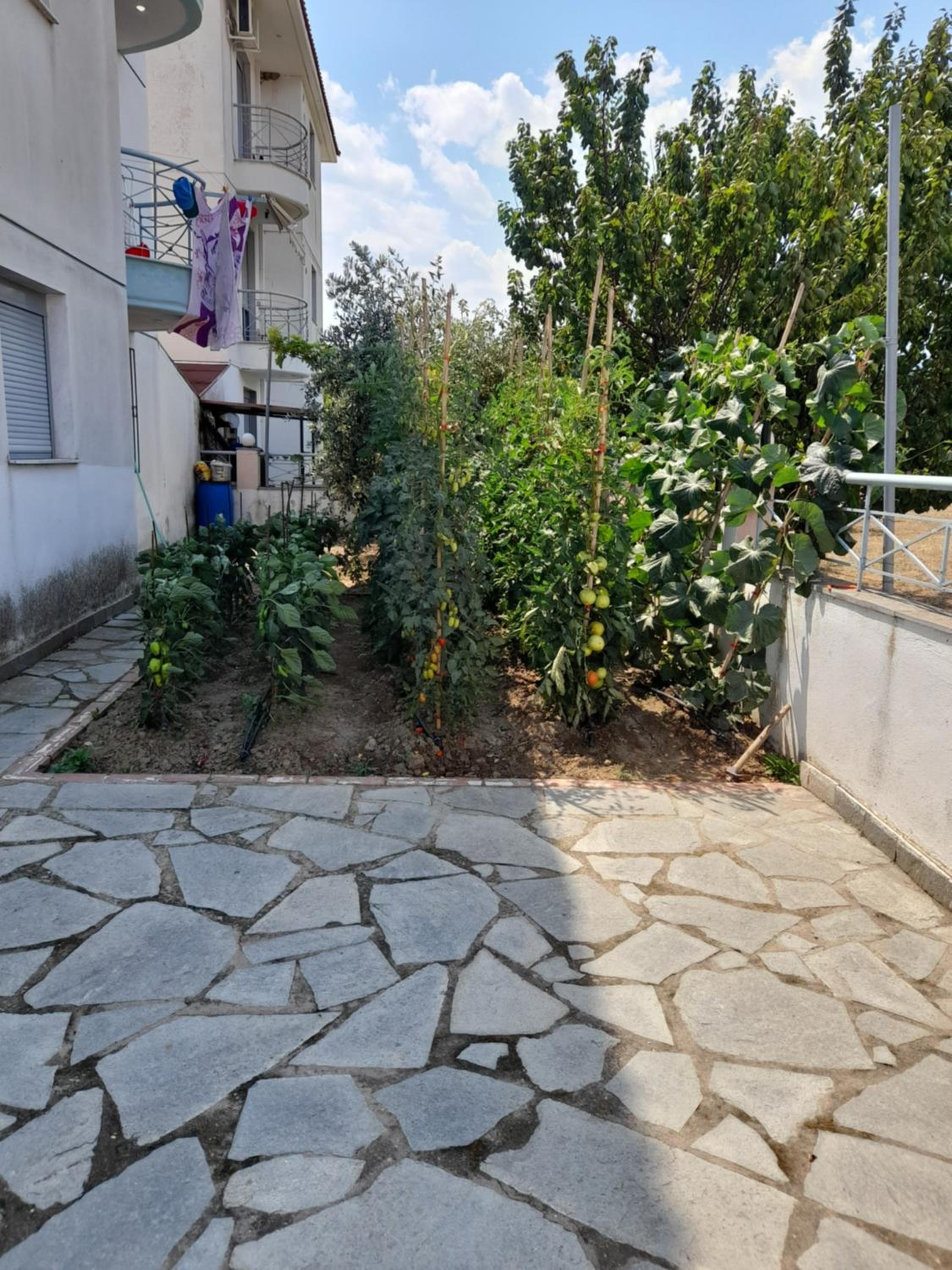 Dominikis appartment