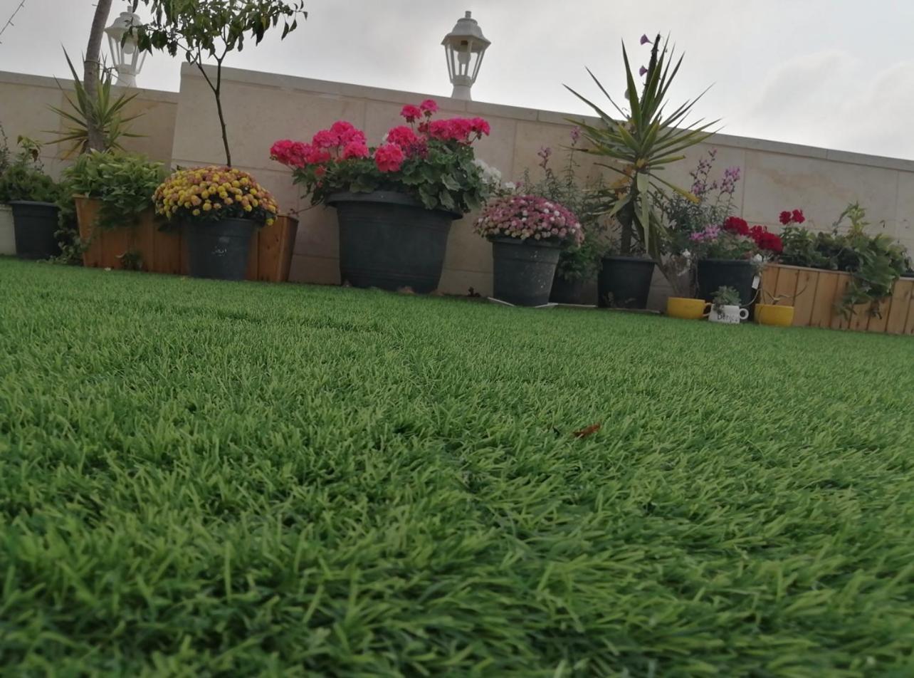 Tamimi Home view 5