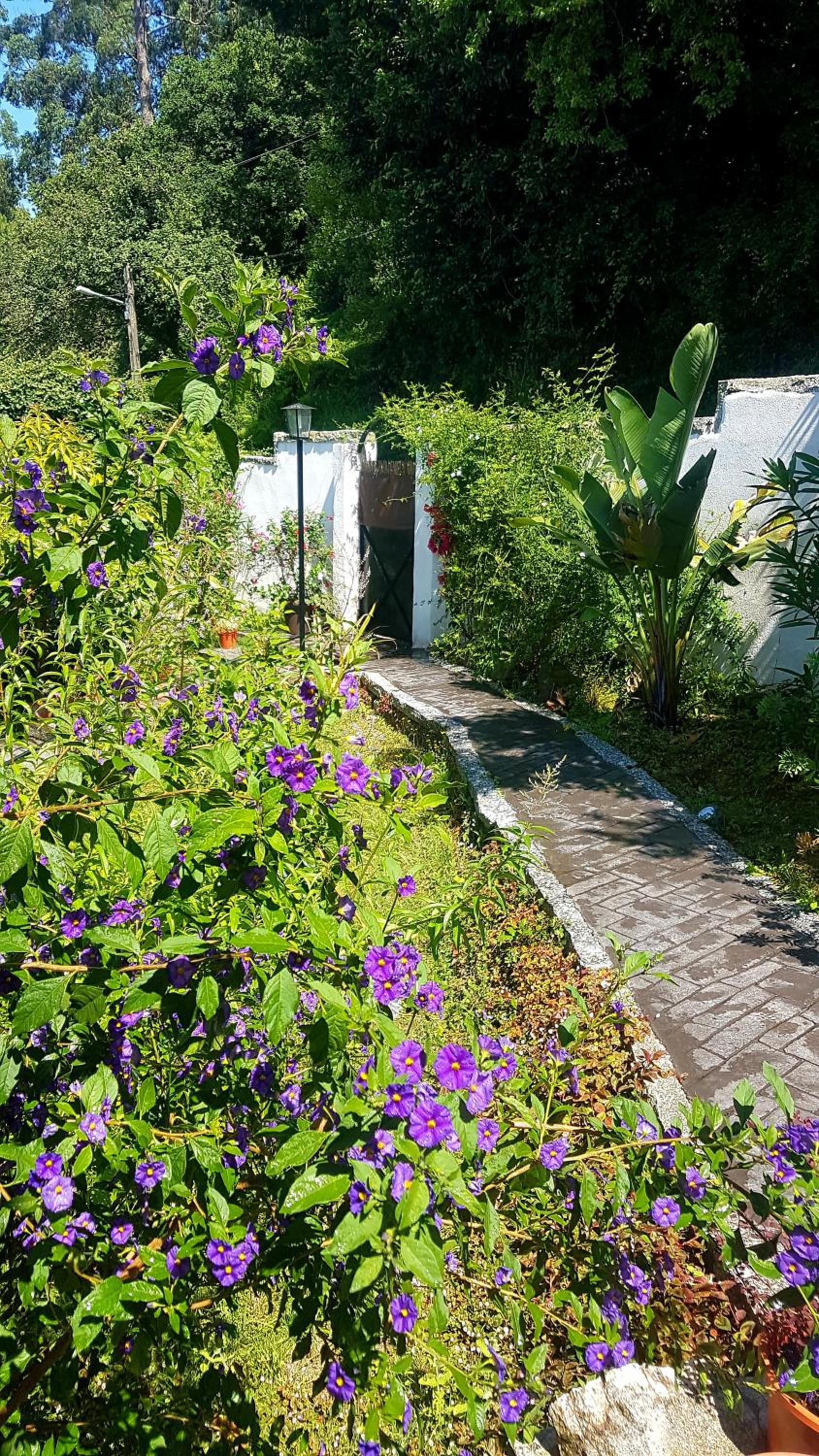 Casa Aguete