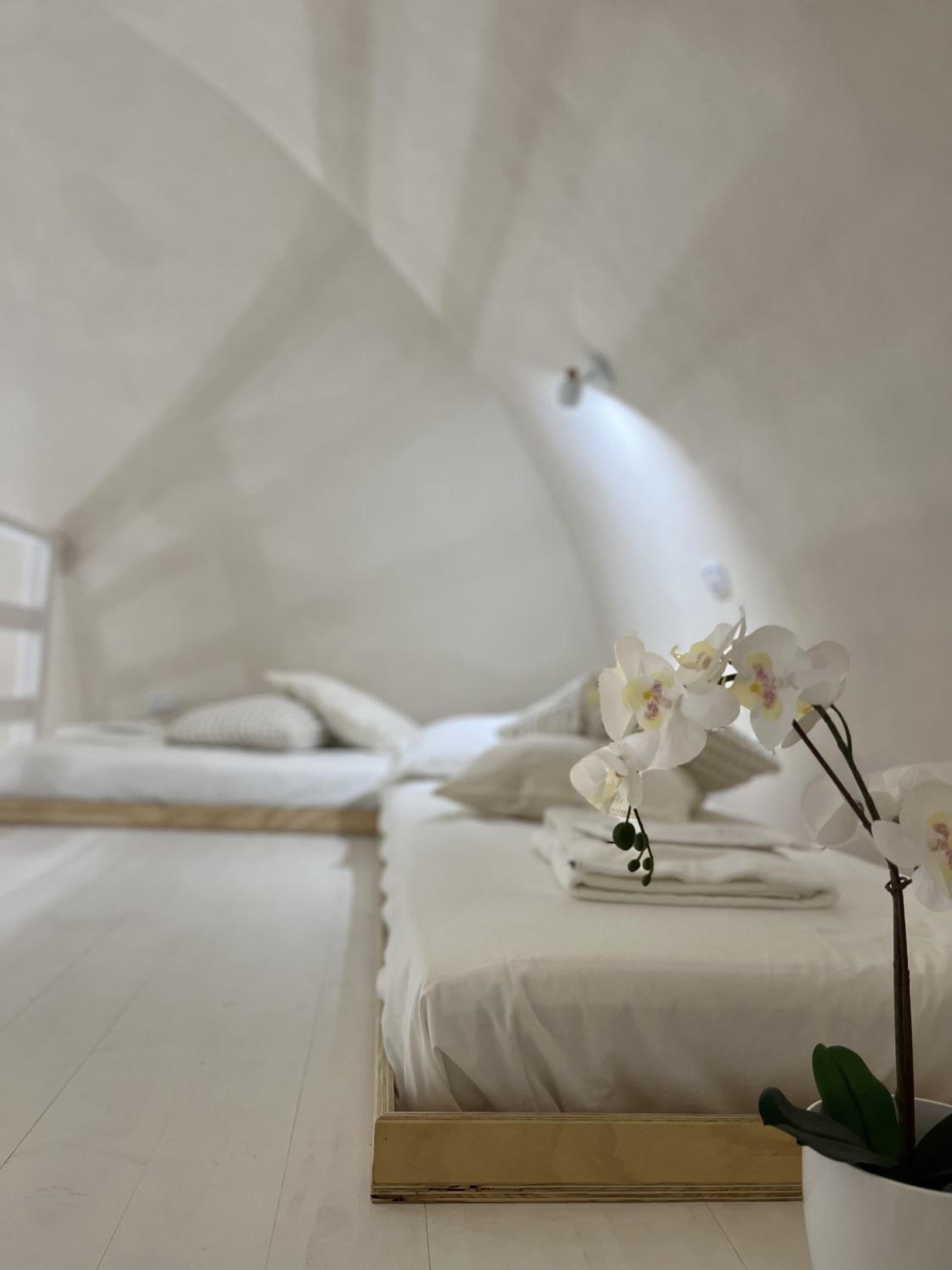 Antoniette-DimorePugliesi photo 5