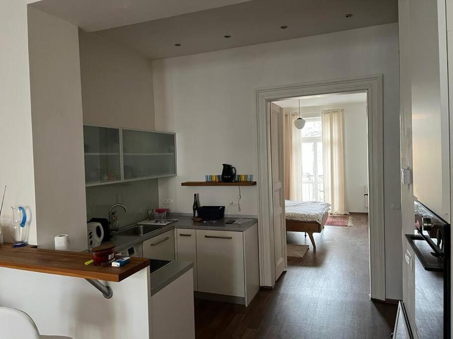 Mama's apartment in Letna