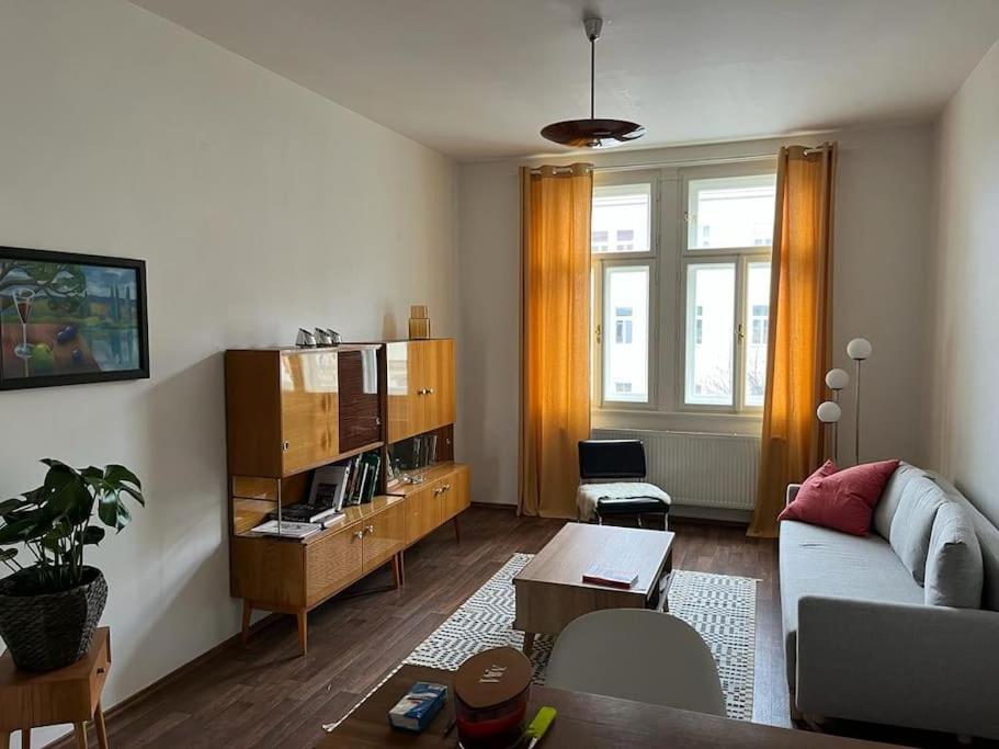 Mama's apartment in Letna