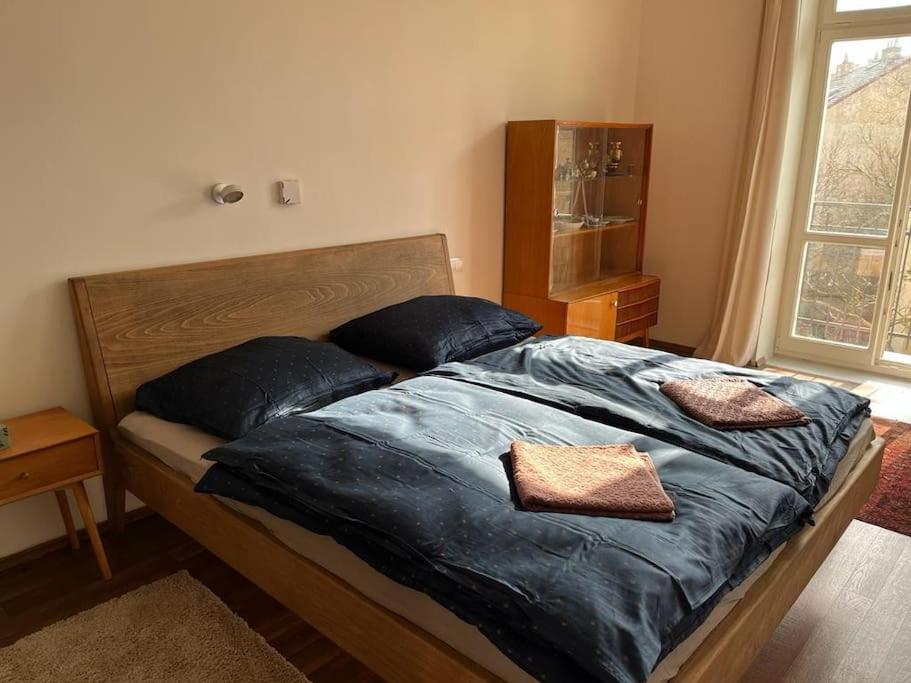 Mama's apartment in Letna