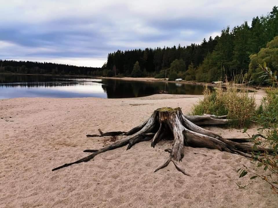 Apartmán Lipno - Kovářov pro cyklisty a motorkáře