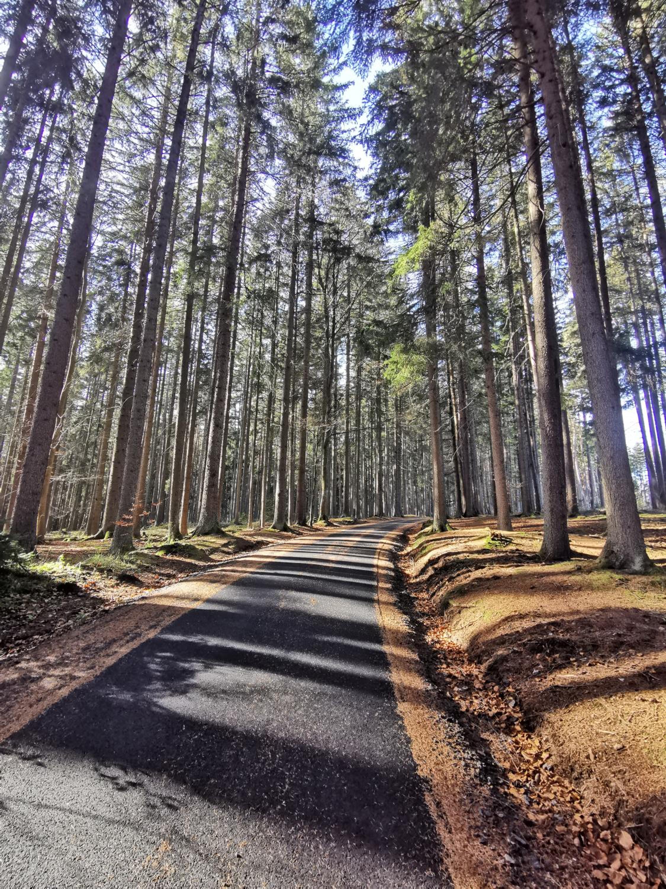 Apartmán Lipno - Kovářov pro cyklisty a motorkáře