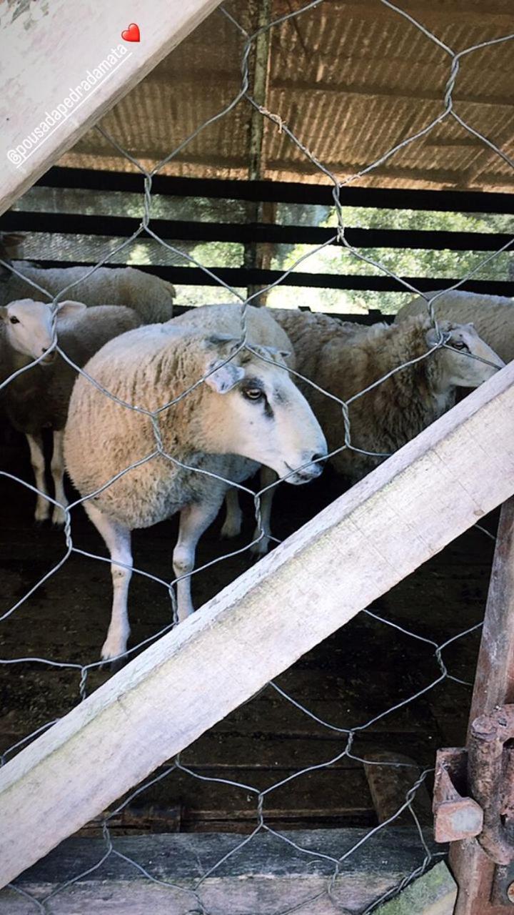 Pousada Pedra da Mata chalés na montanha
