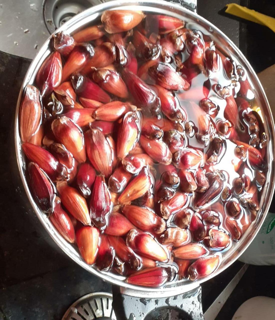 Pousada Pedra da Mata chalés na montanha