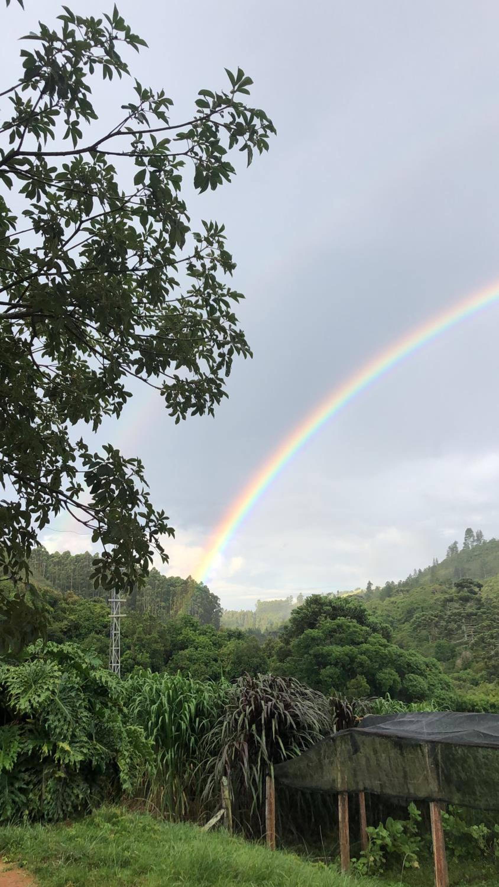 Pousada Pedra da Mata chalés na montanha