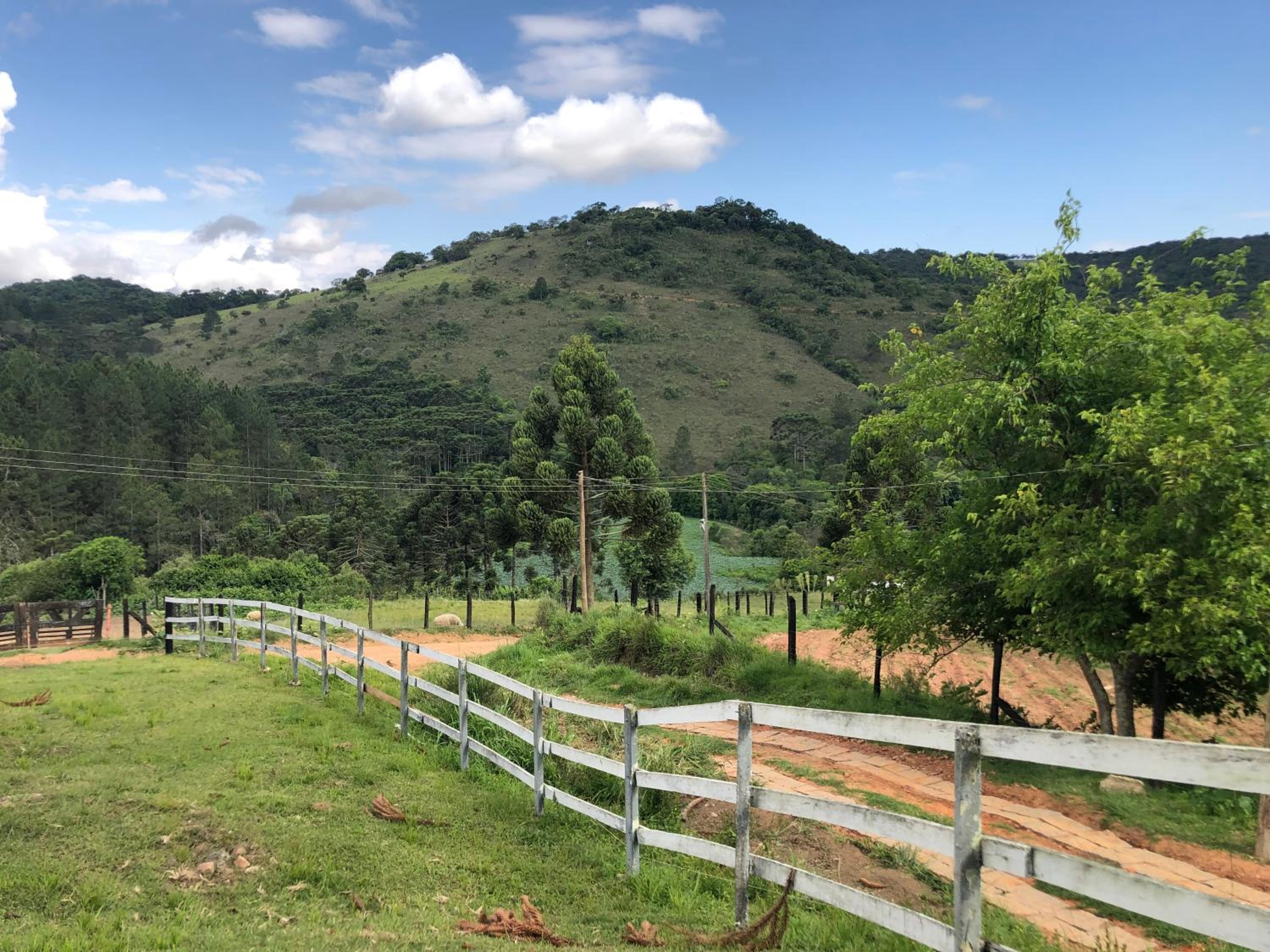 Pousada Pedra da Mata chalés na montanha