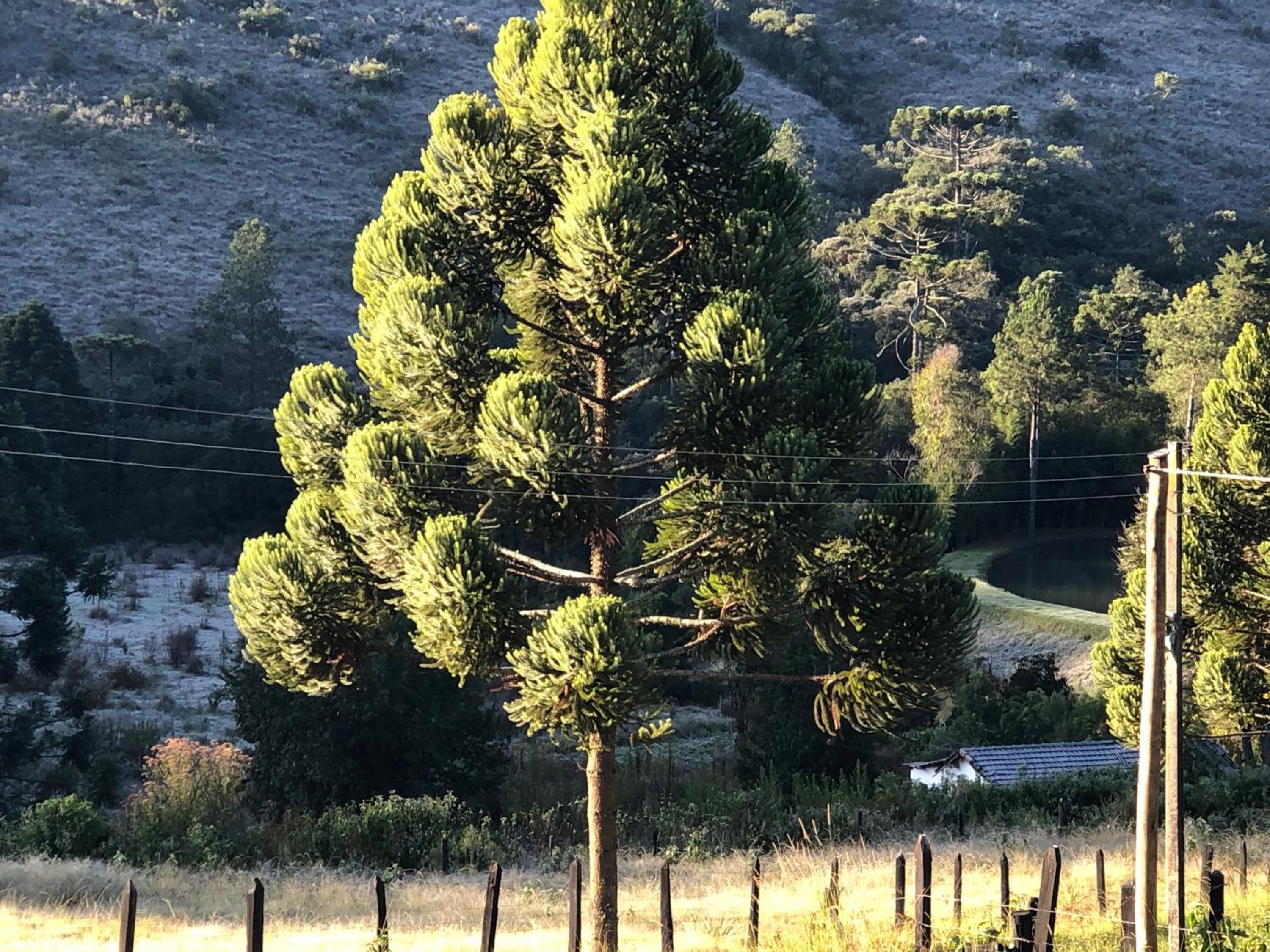 Pousada Pedra da Mata chalés na montanha