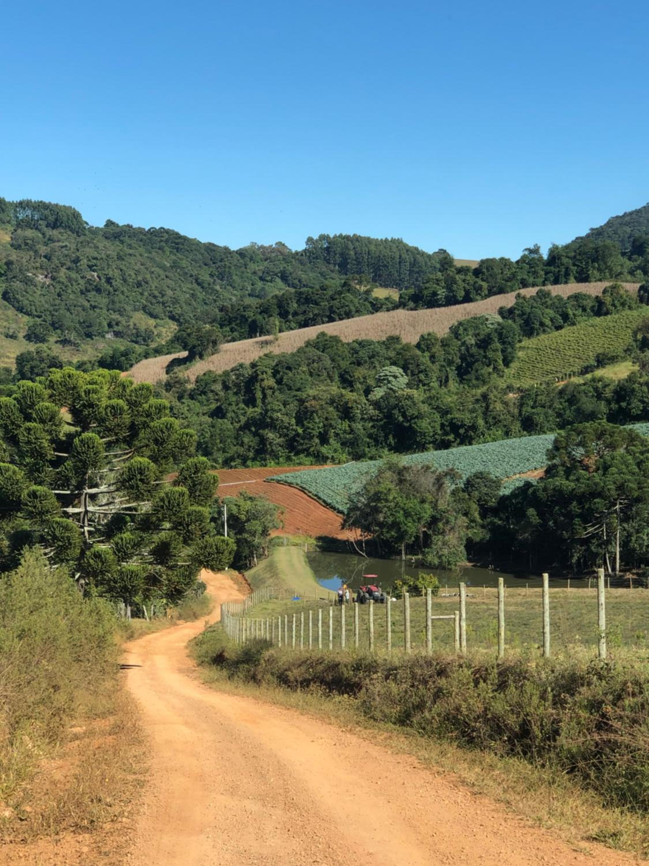 Pousada Pedra da Mata chalés na montanha