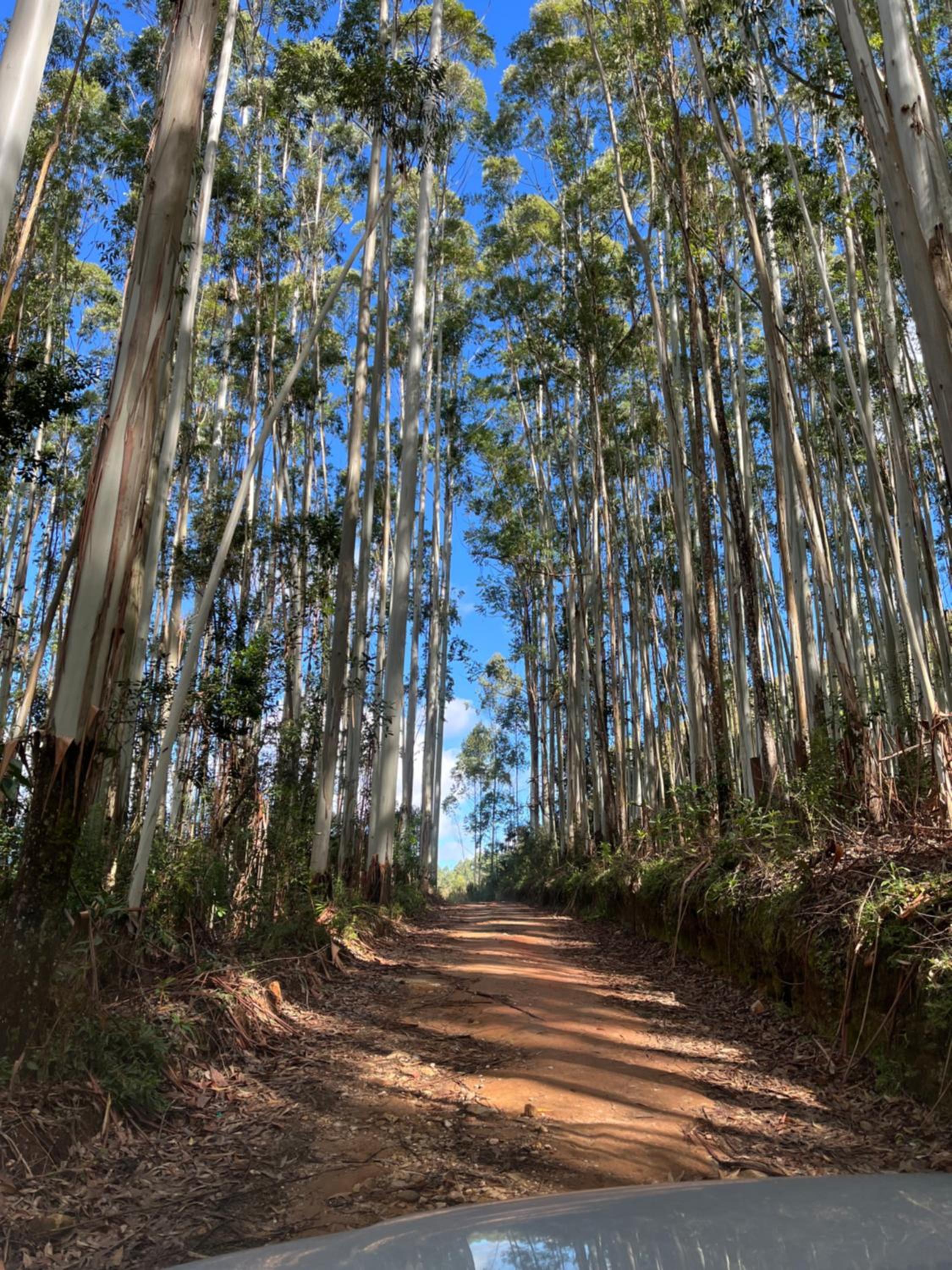 Pousada Pedra da Mata chalés na montanha