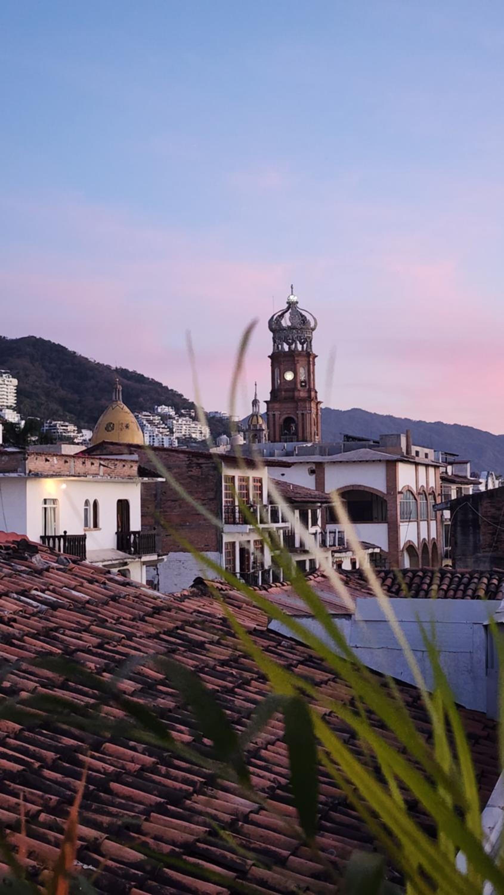 Hotel Hostel Vallarta - Image 1