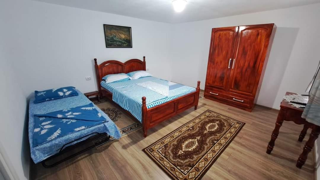 Pensiunea Casa Golovita