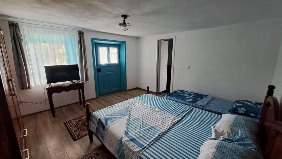 Pensiunea Casa Golovita