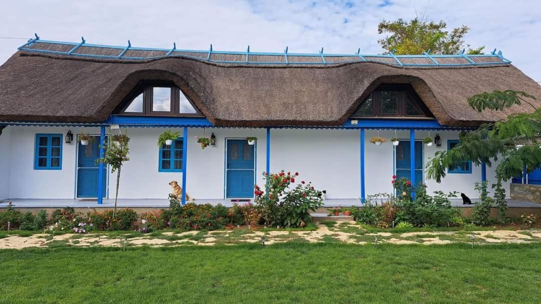 Pensiunea Casa Golovita
