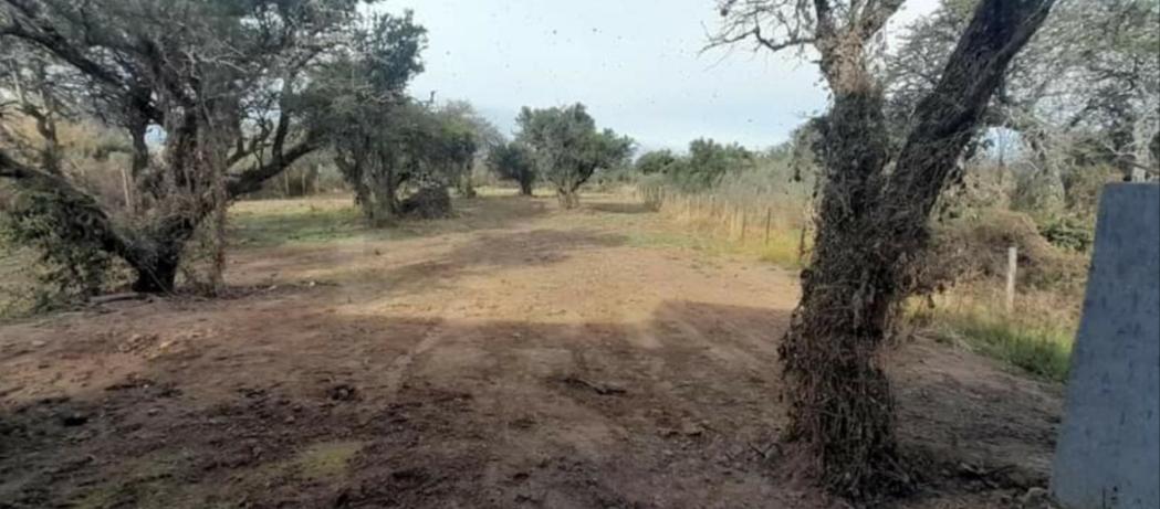 La casita de Emilia