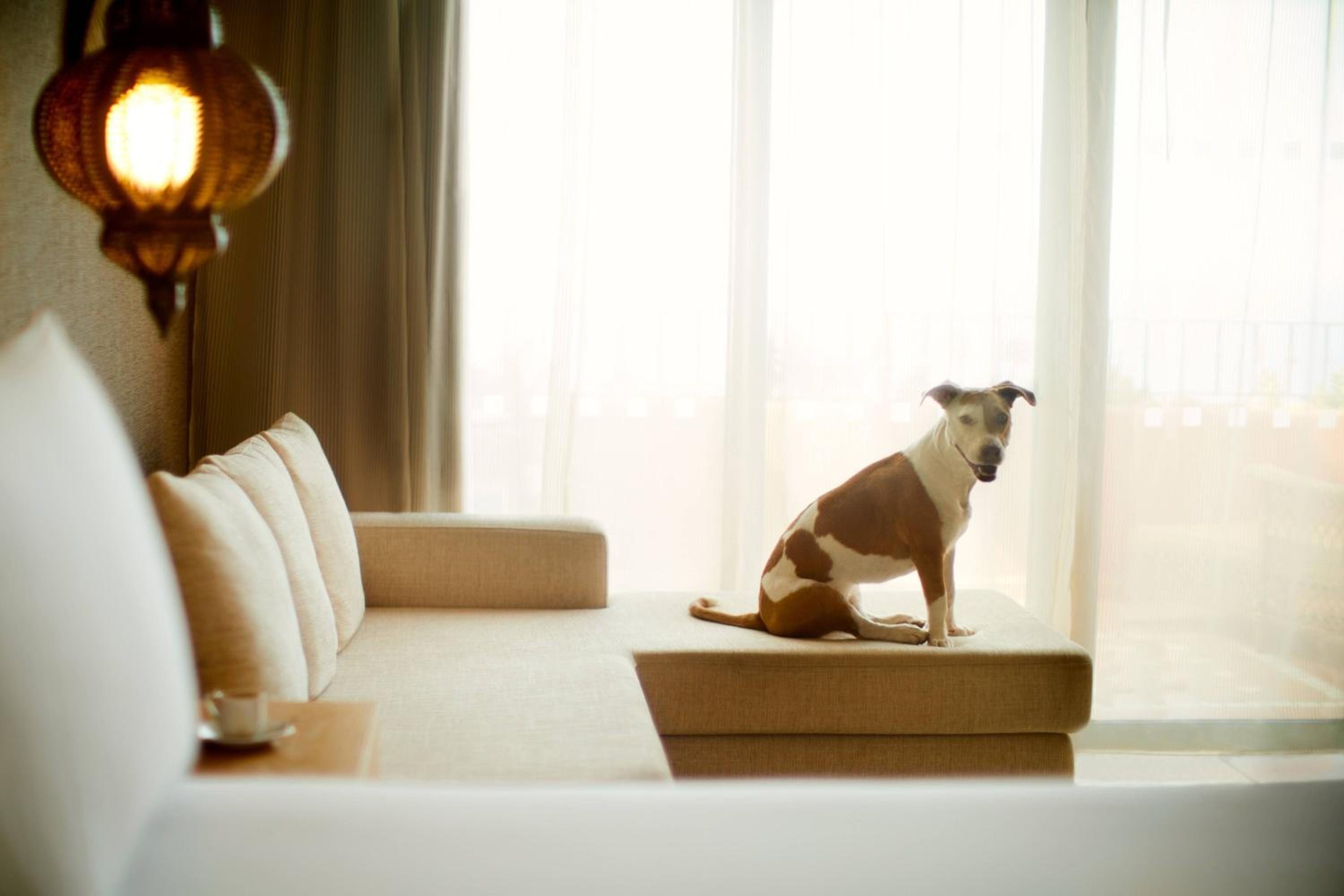 The Ritz-Carlton Tenerife, Abama
