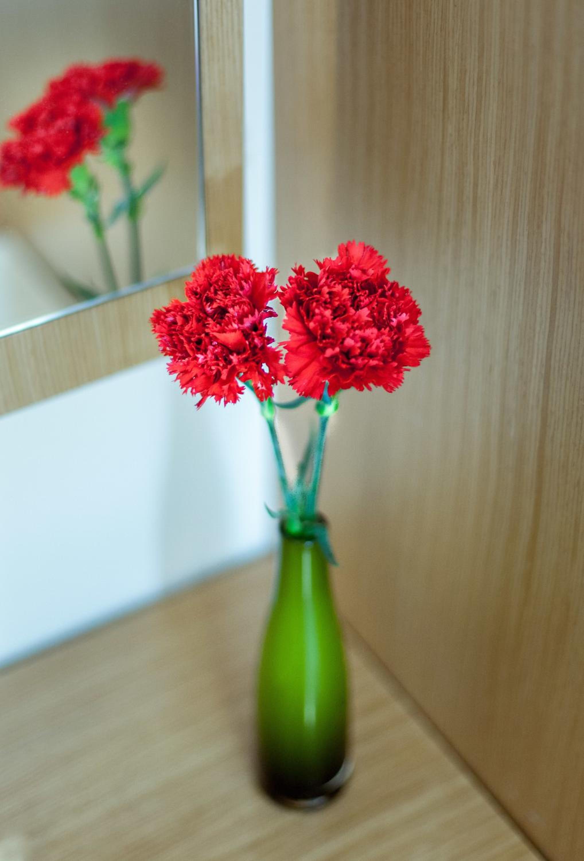 Sude Konak - Image 49