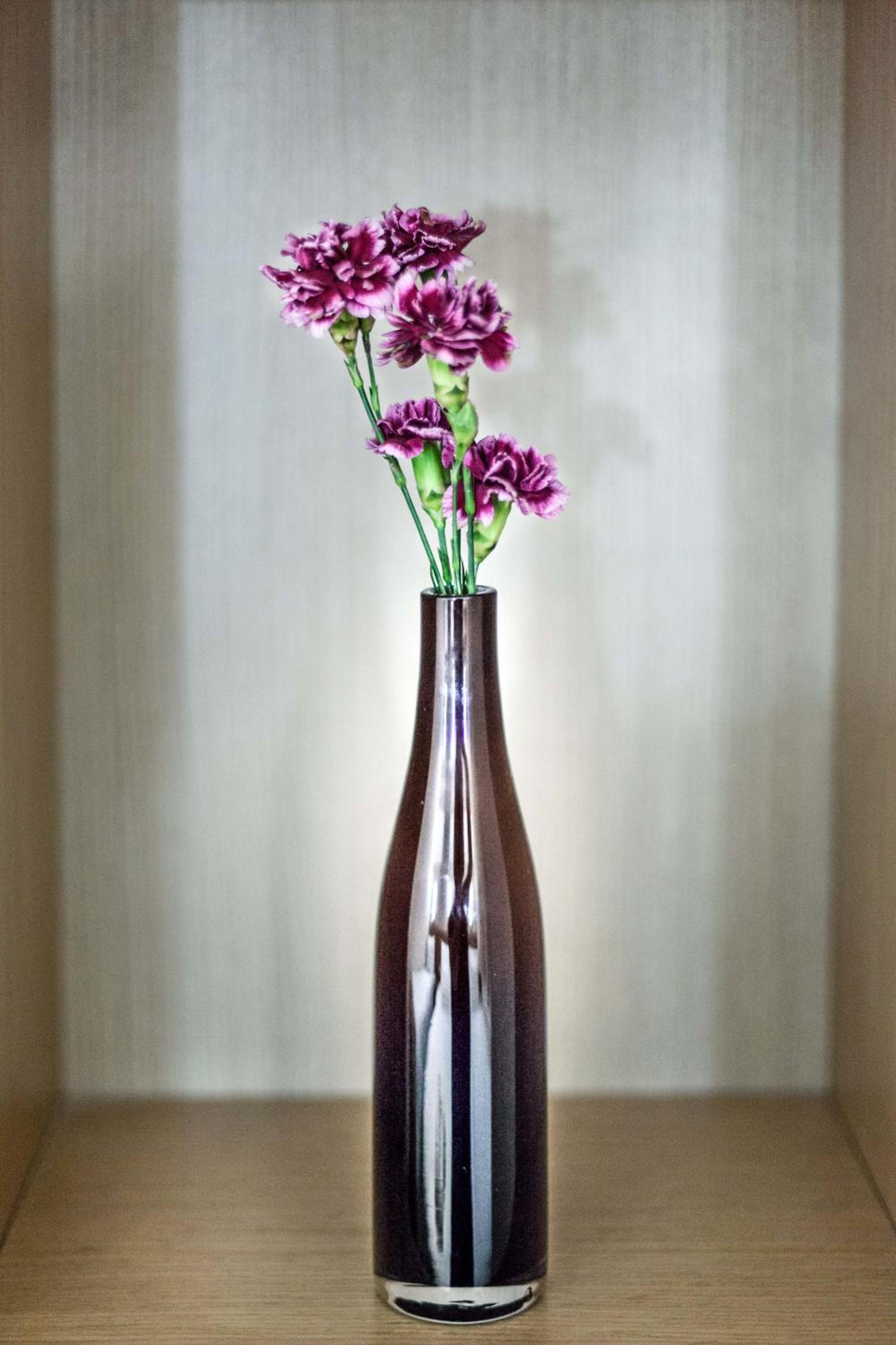 Sude Konak - Image 115