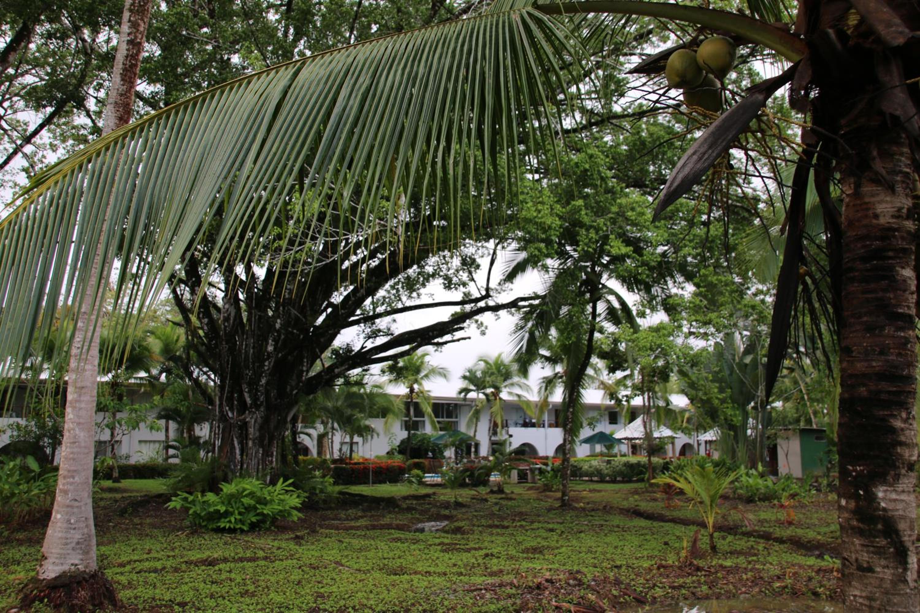 Family 2bd apt near Quepos/Manuel Antonio