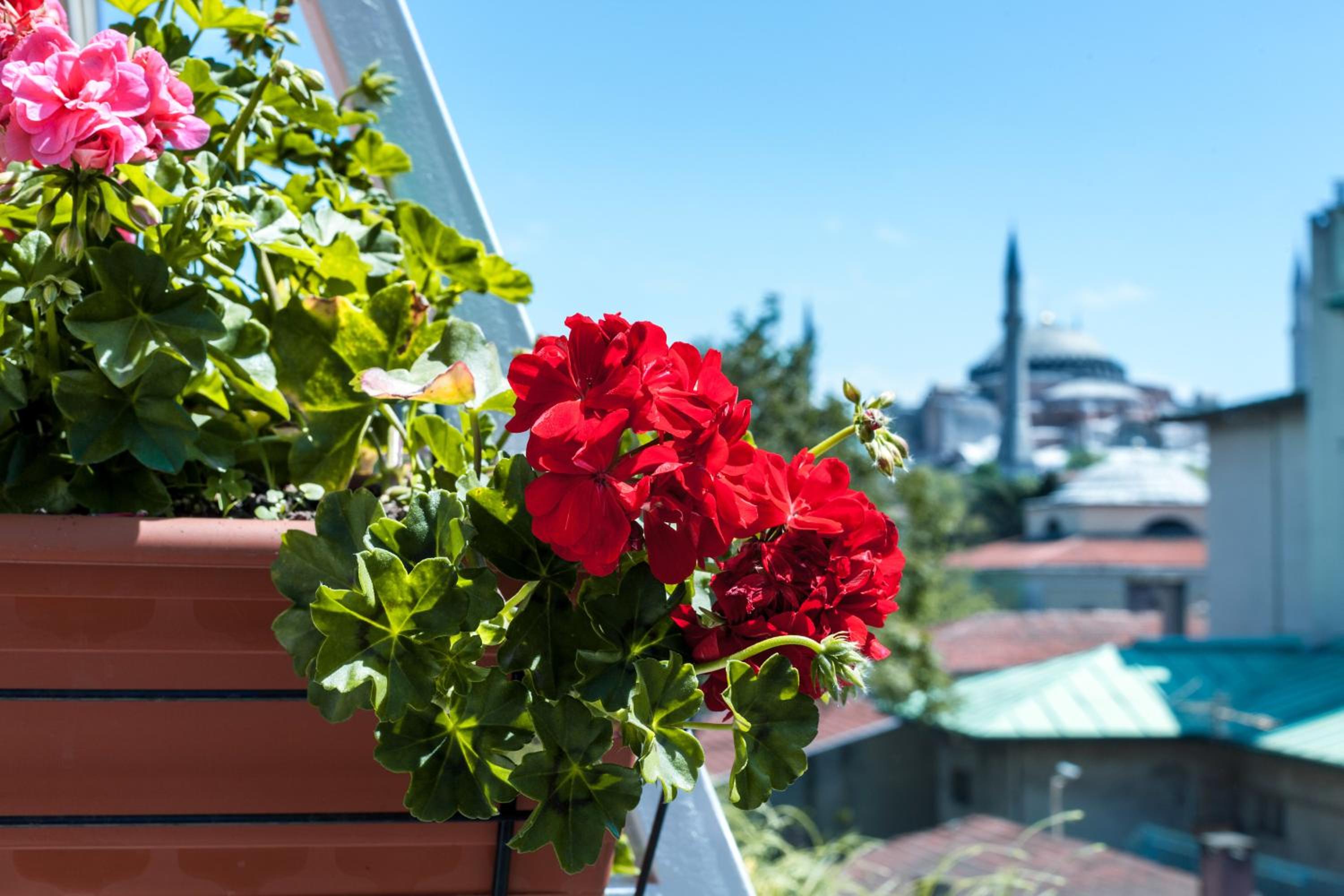 Sude Konak - Image 53