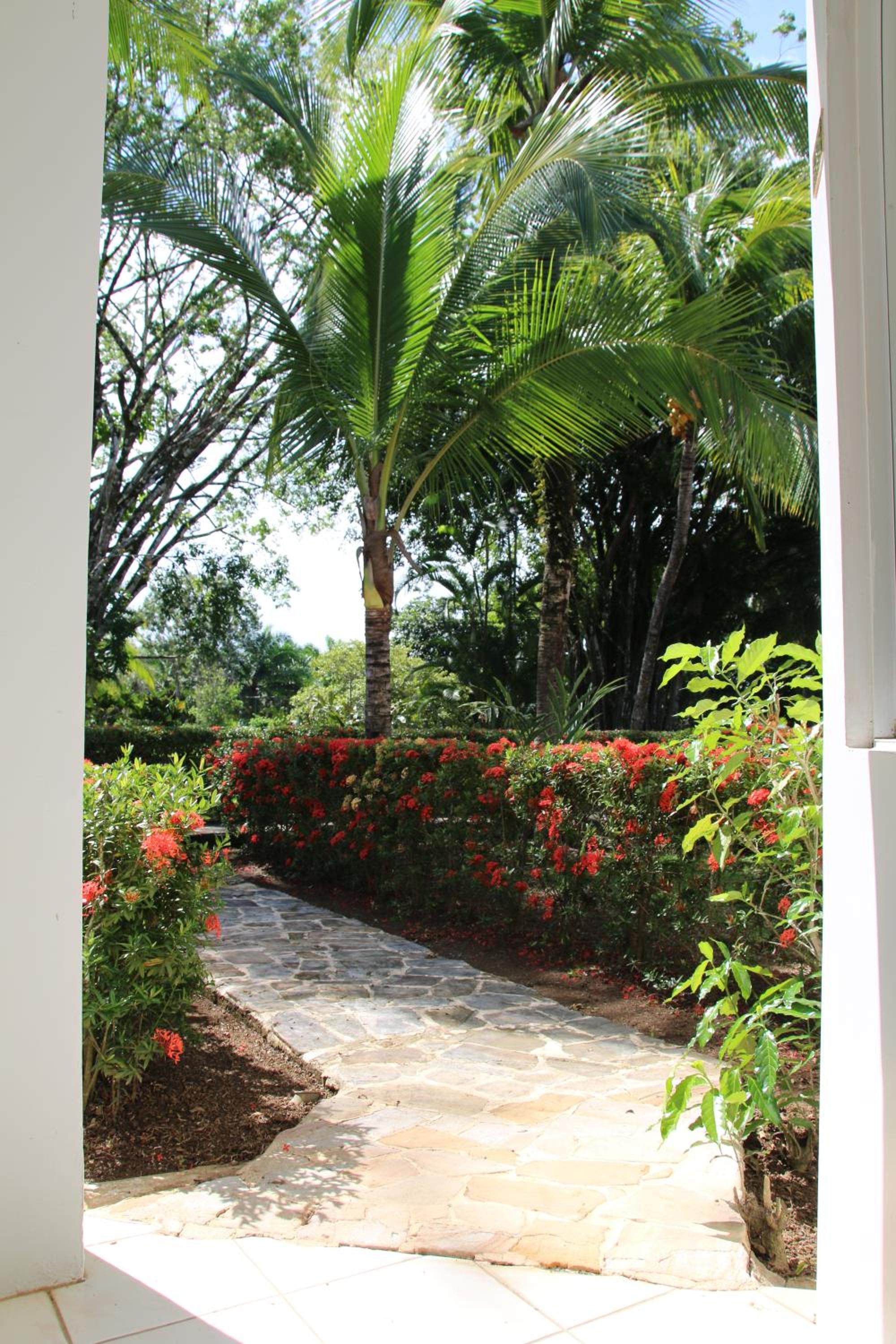 Family 2bd apt near Quepos/Manuel Antonio