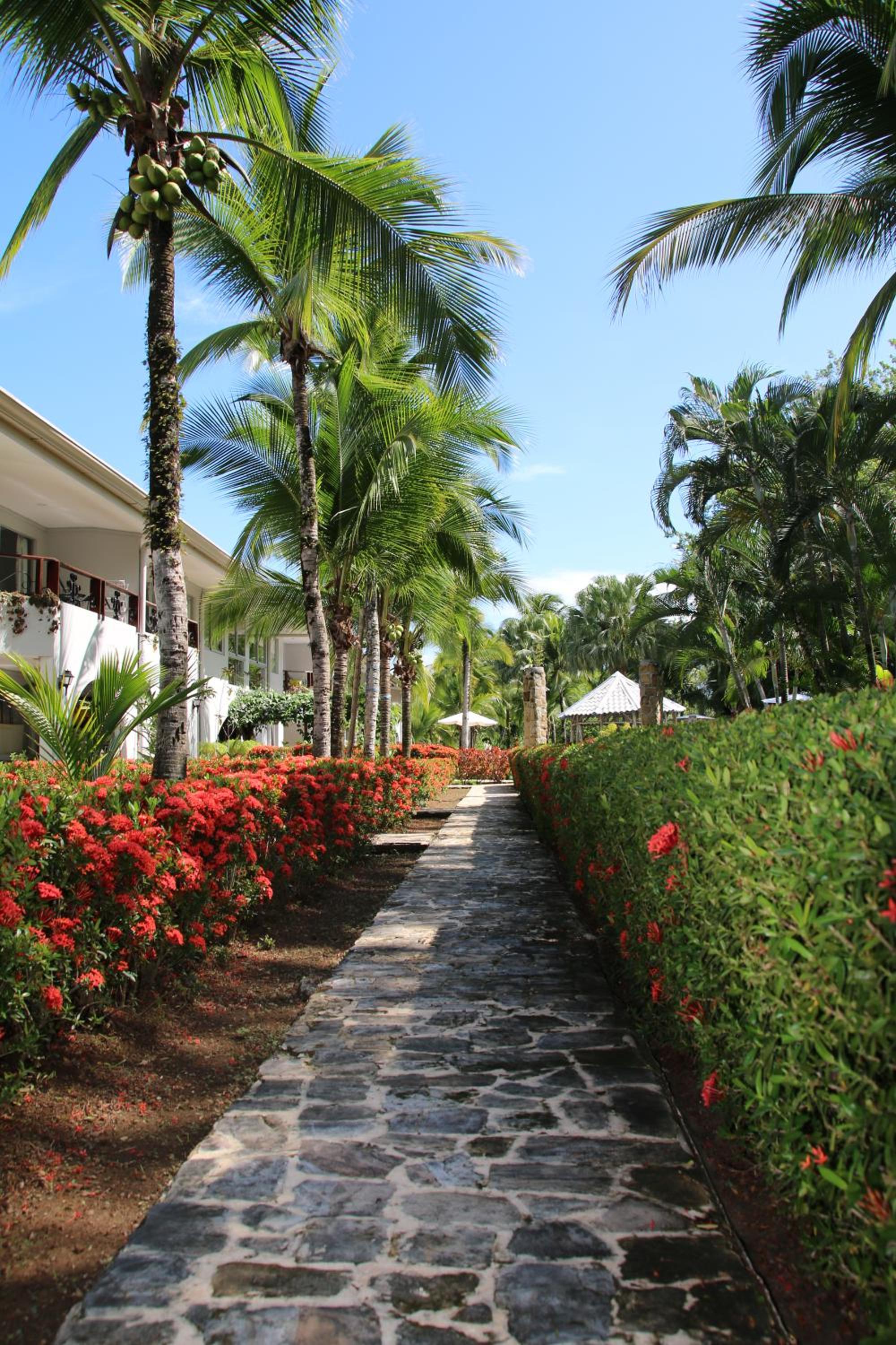 Family 2bd apt near Quepos/Manuel Antonio