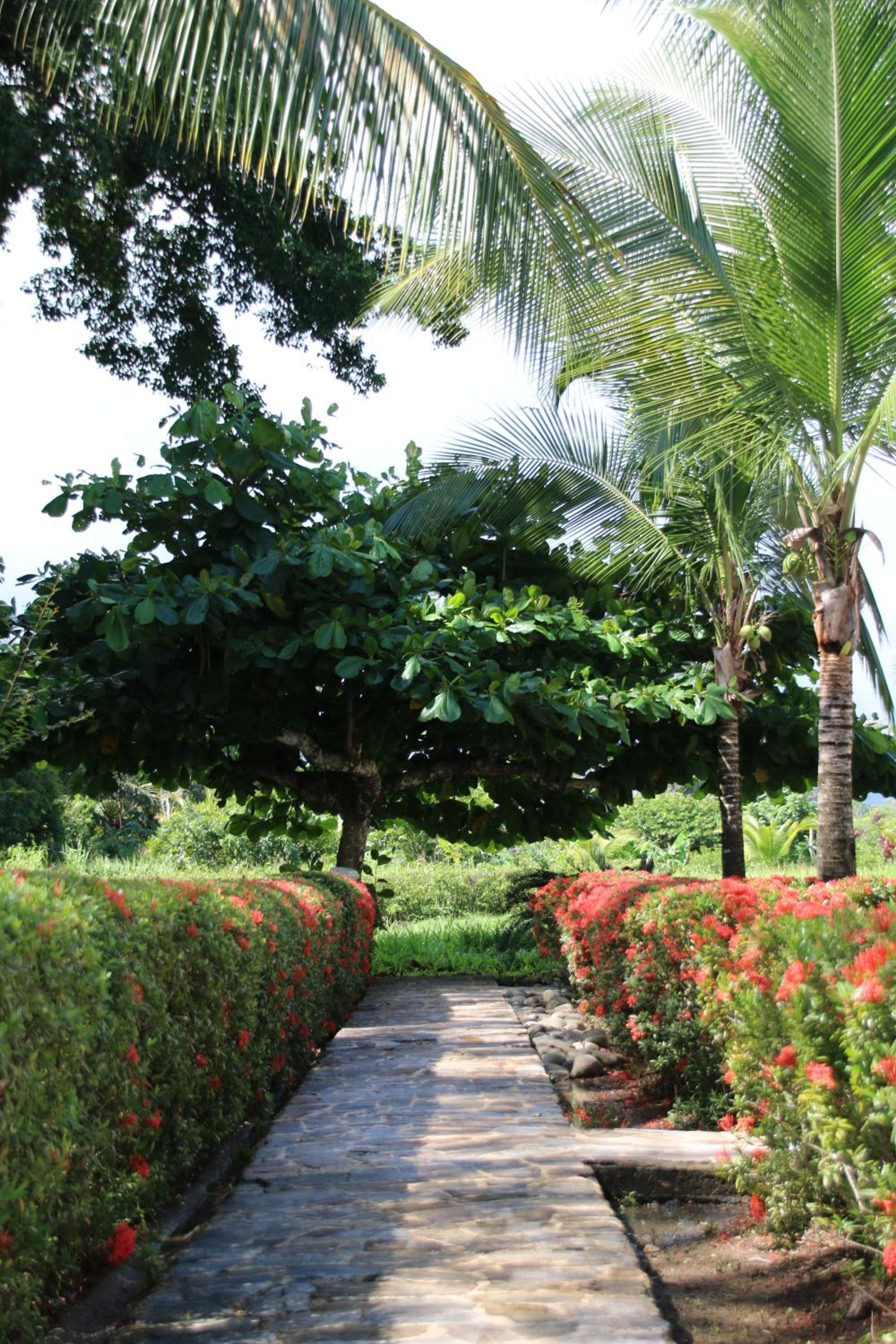 Family 2bd apt near Quepos/Manuel Antonio