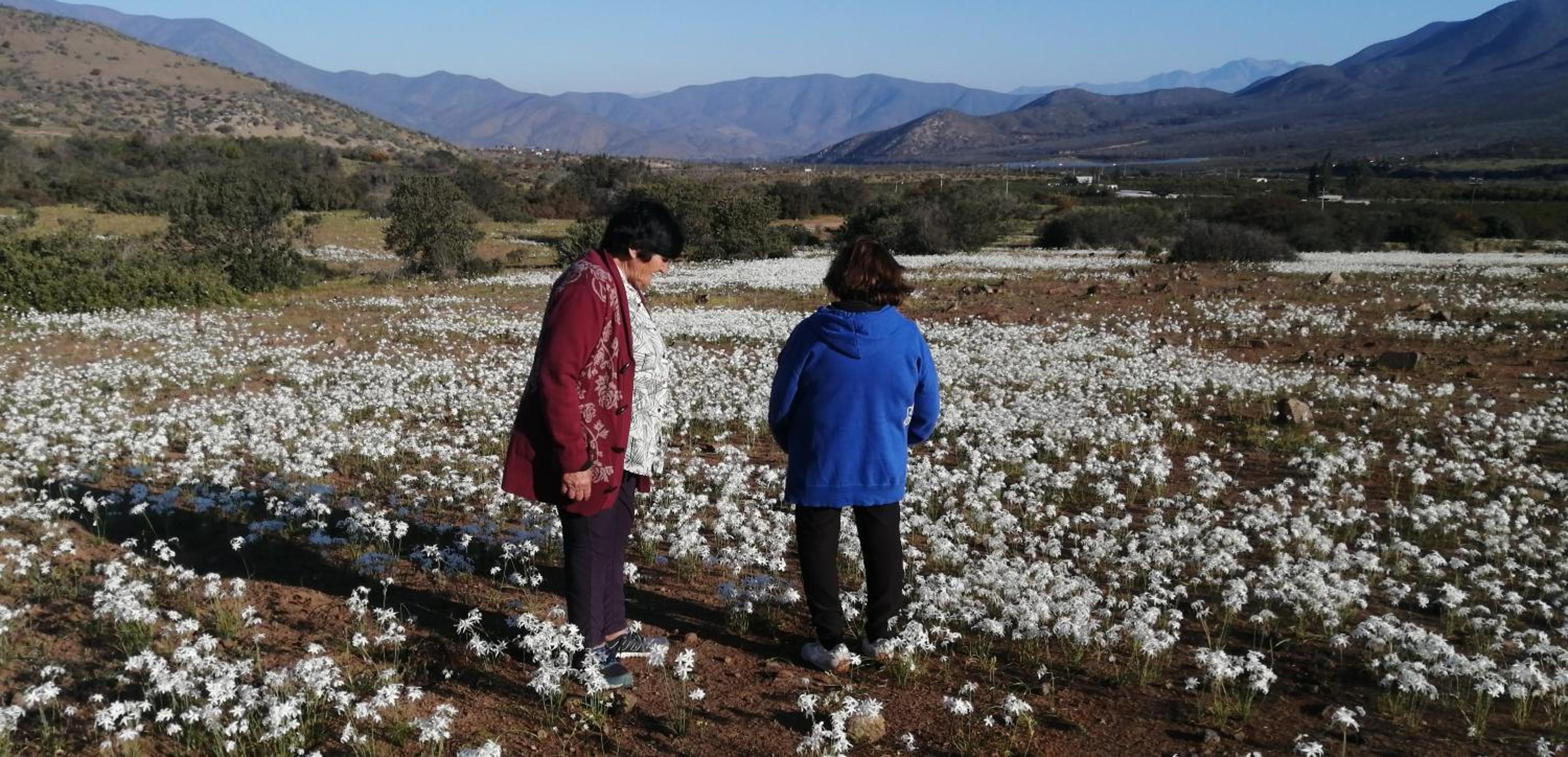 Alojamiento Rural Polita, Agroturismo y Patrimonial