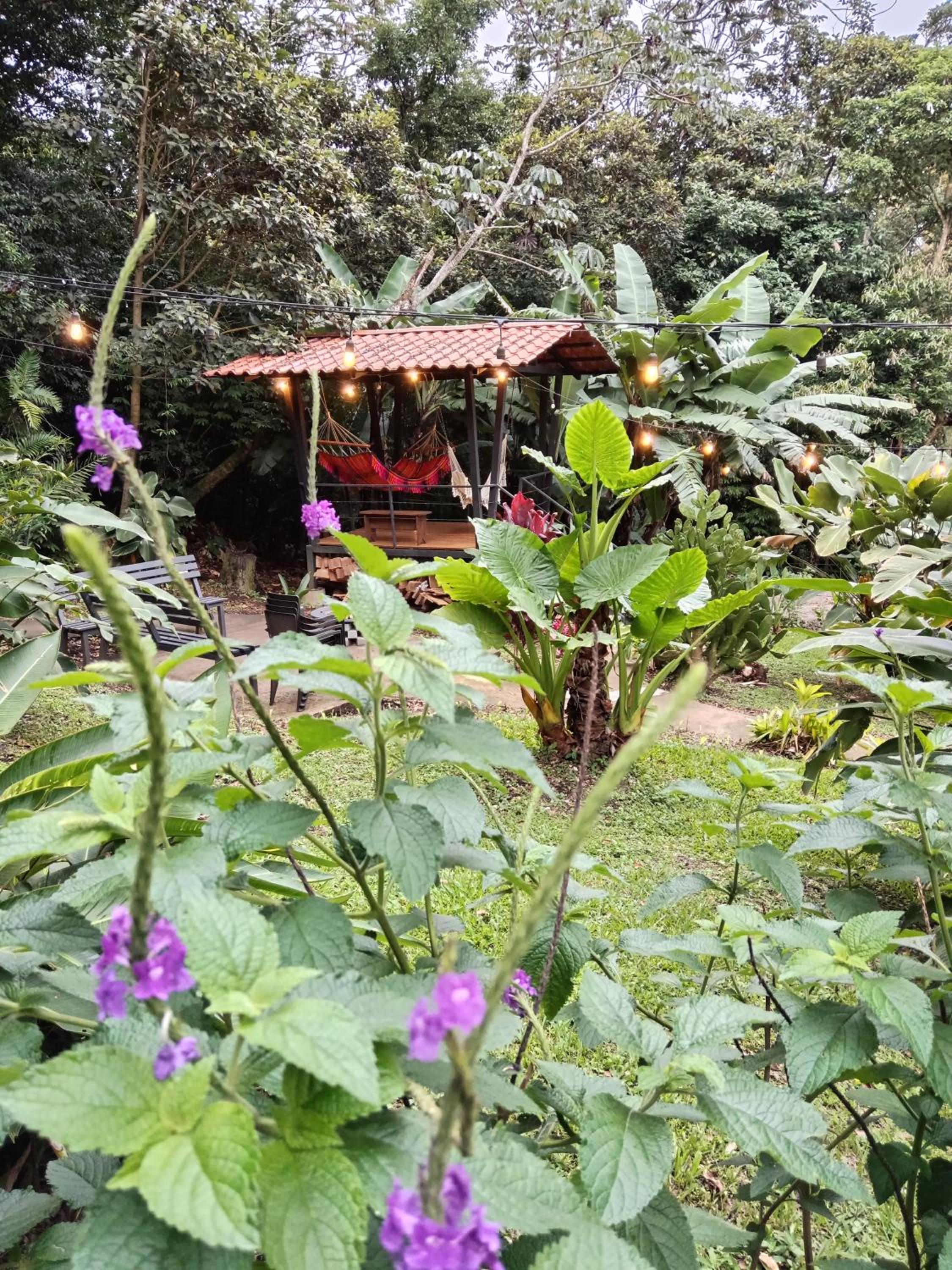 Jungle Living Tree Houses