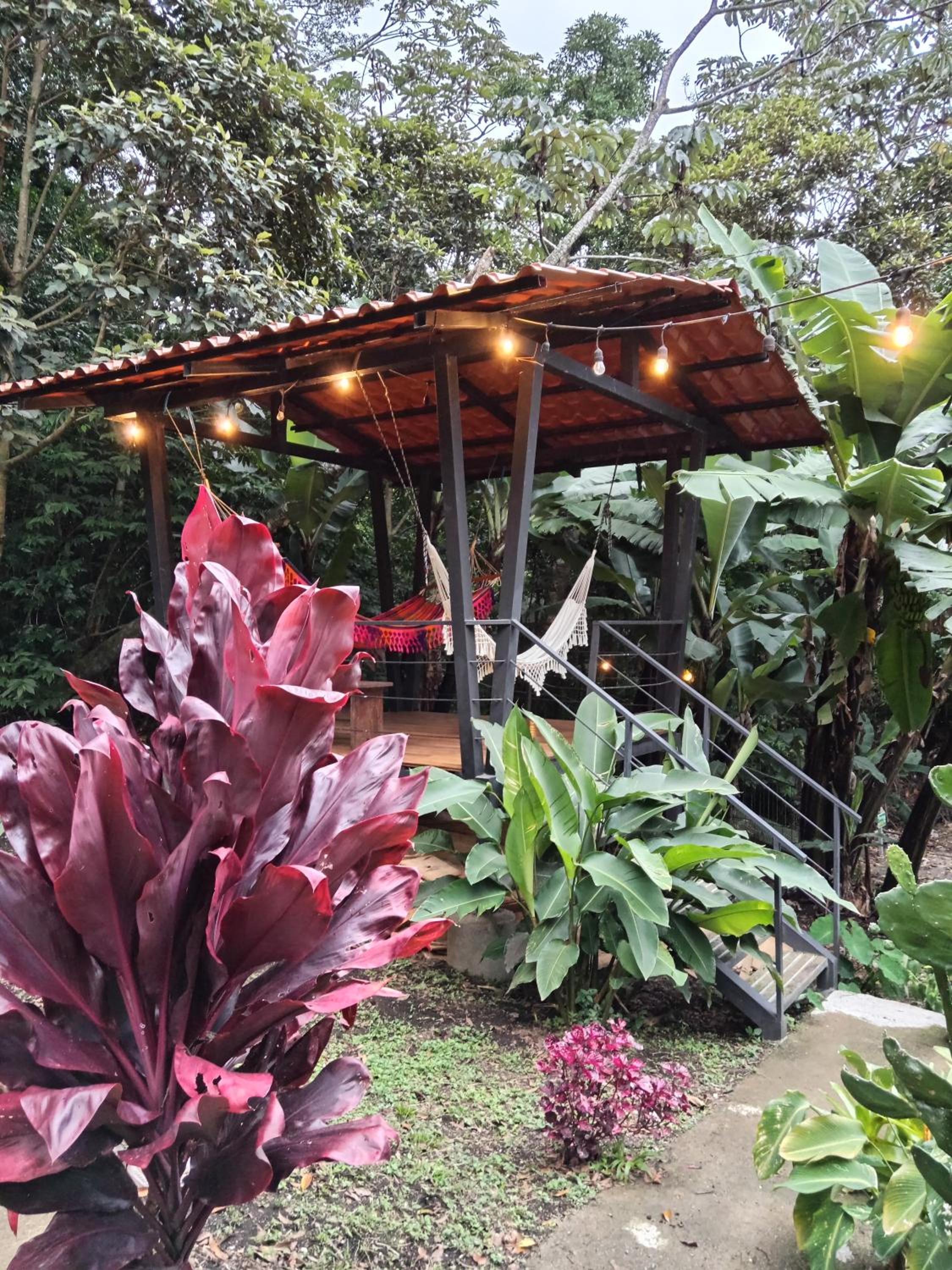 Jungle Living Tree Houses