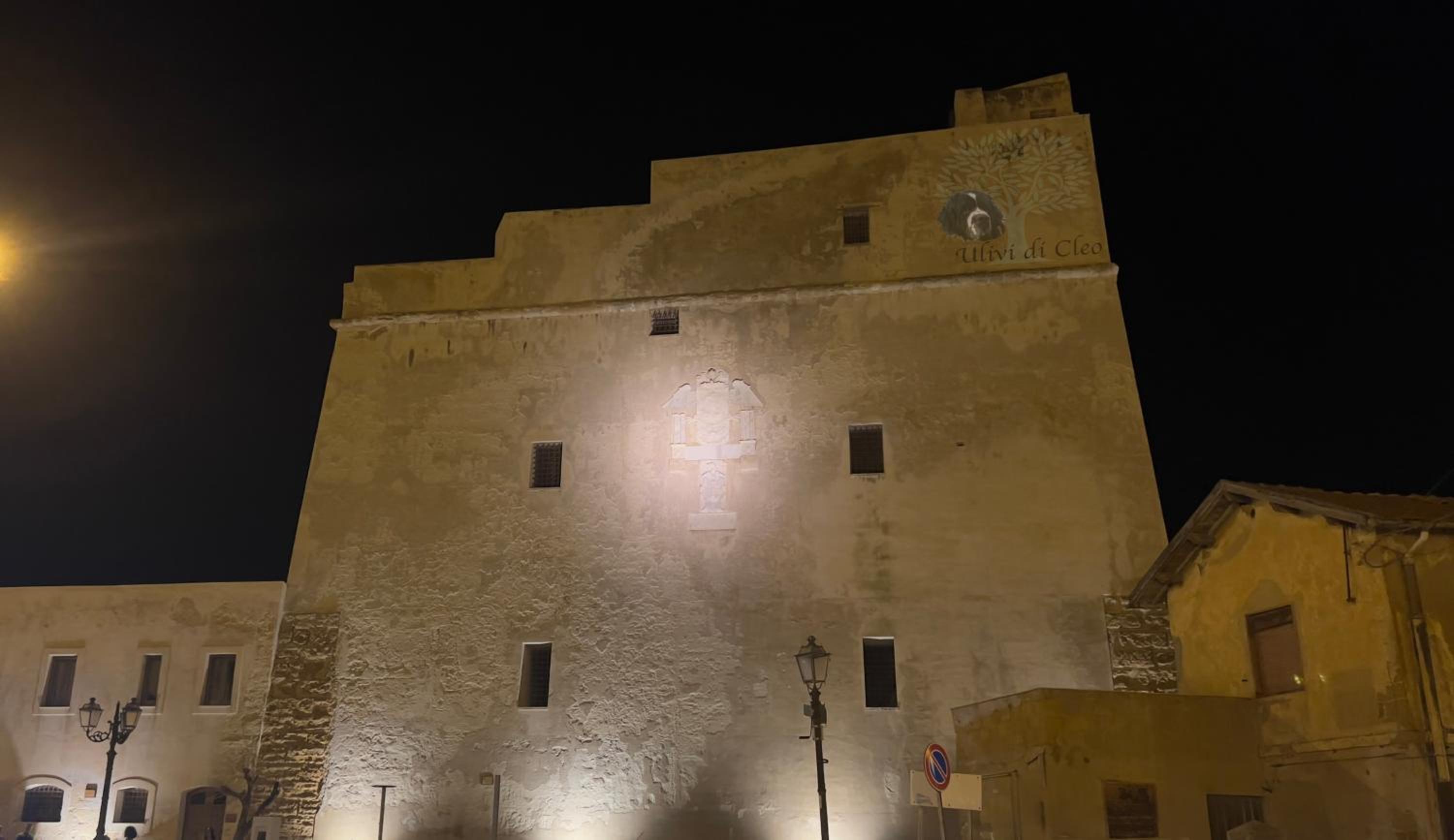 Ulivi di Cleo
