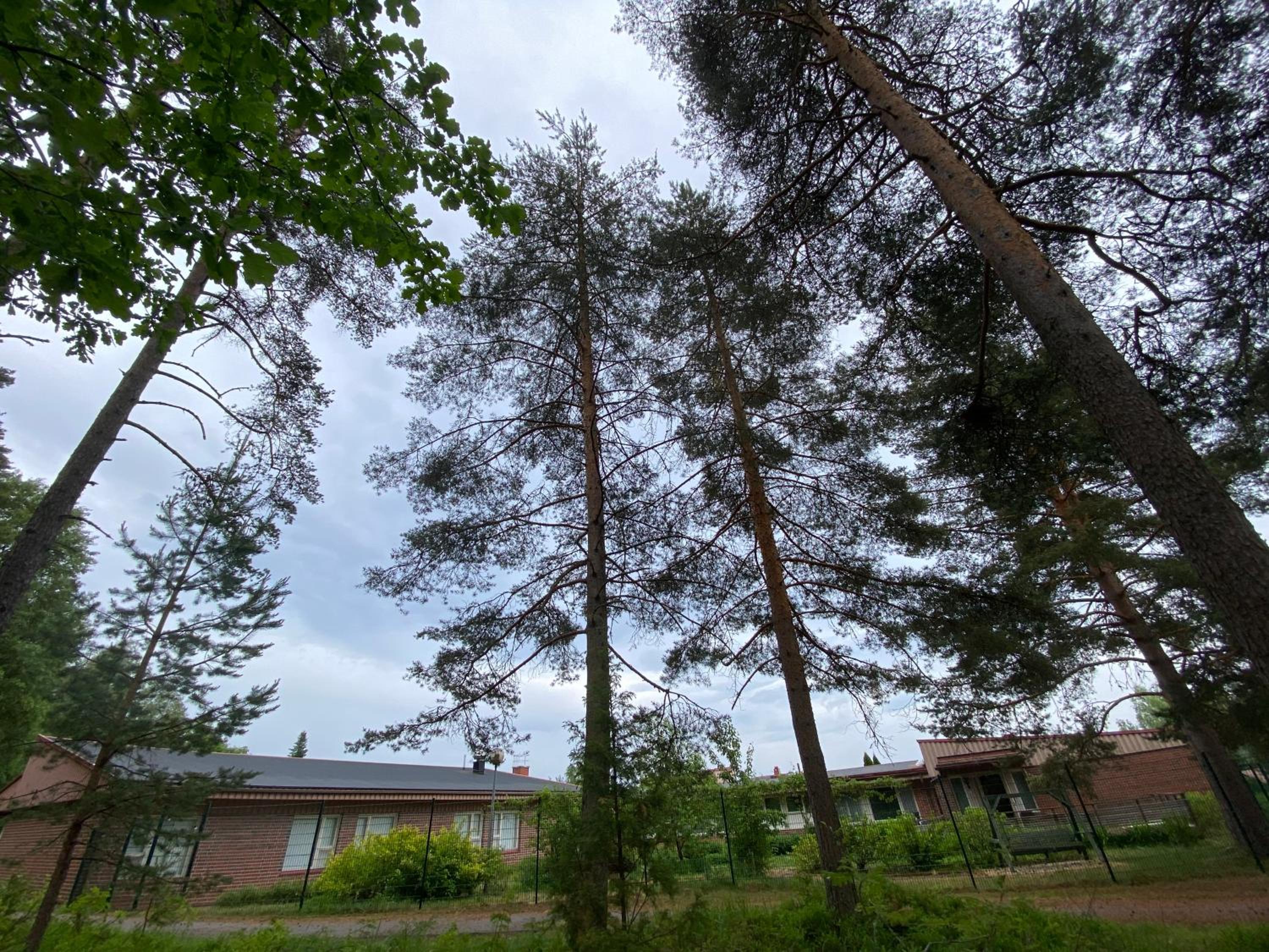 Kampus Sippola