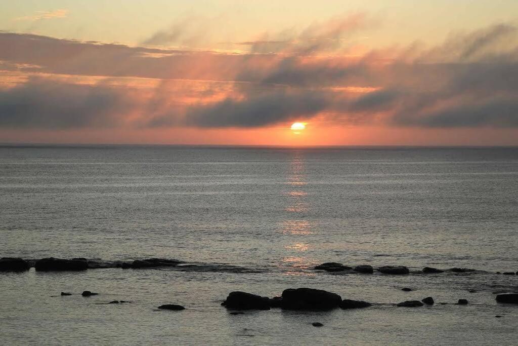 Augusta Beachfront - Watch the whales go by