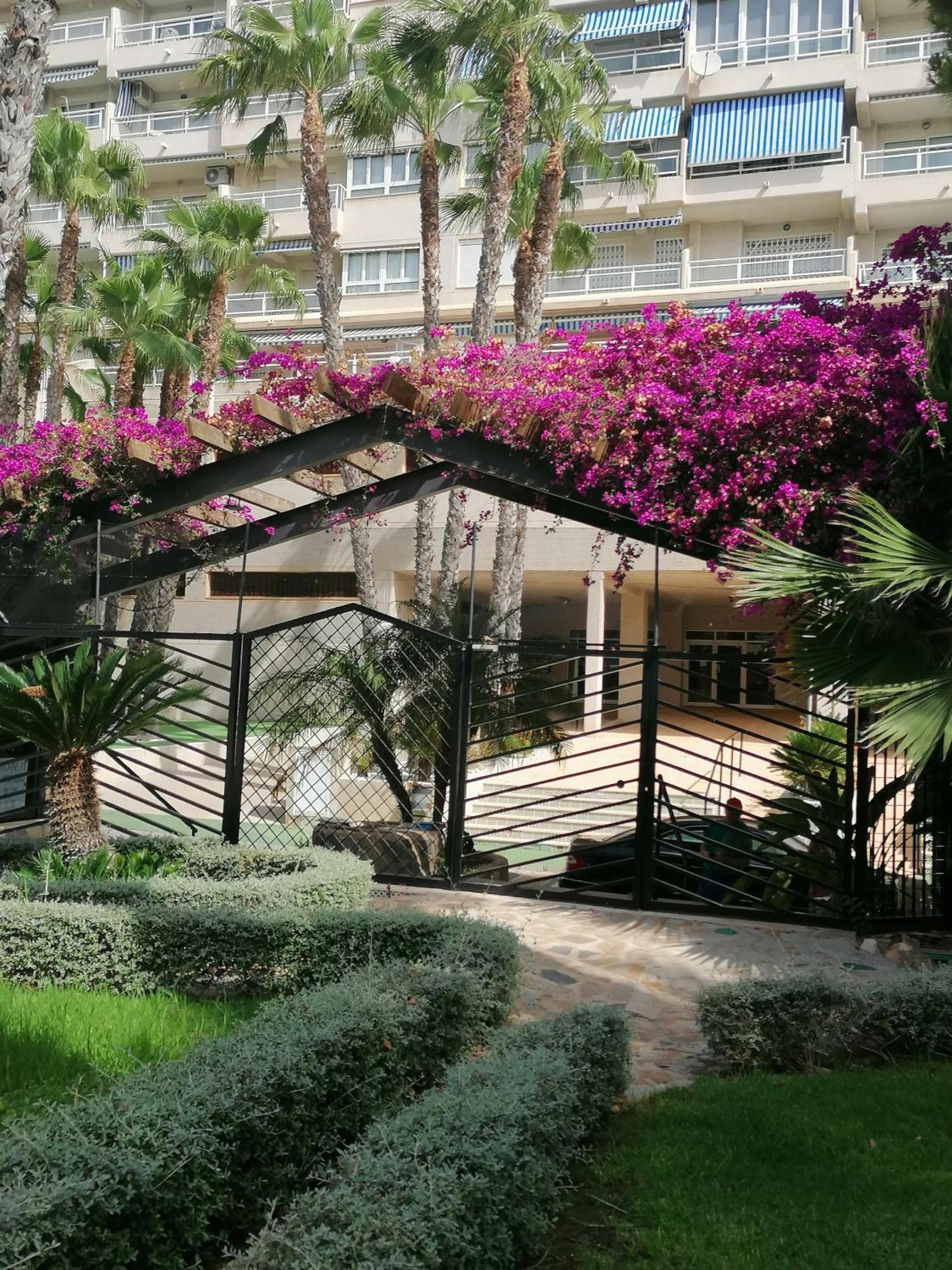 Campoamor Seaview
