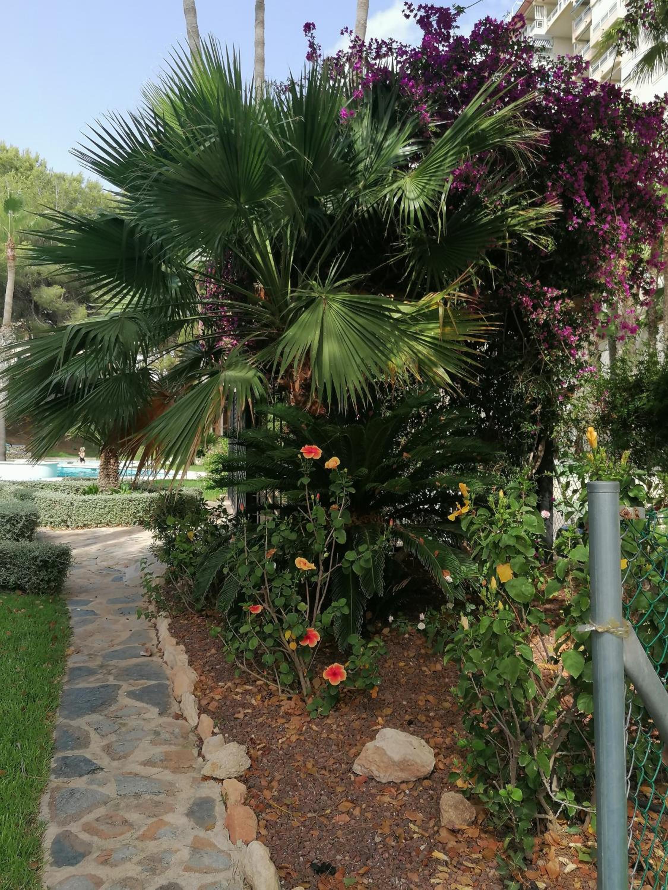 Campoamor Seaview