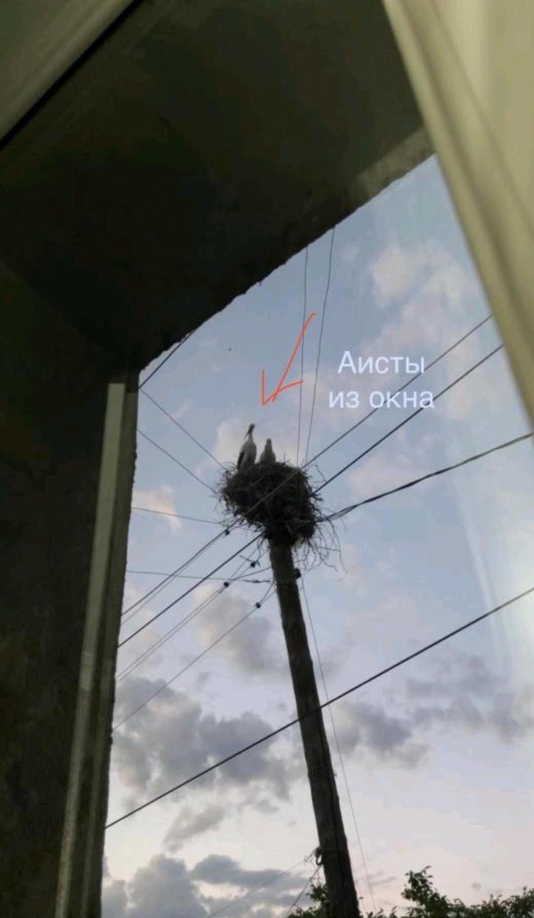 LiViTi