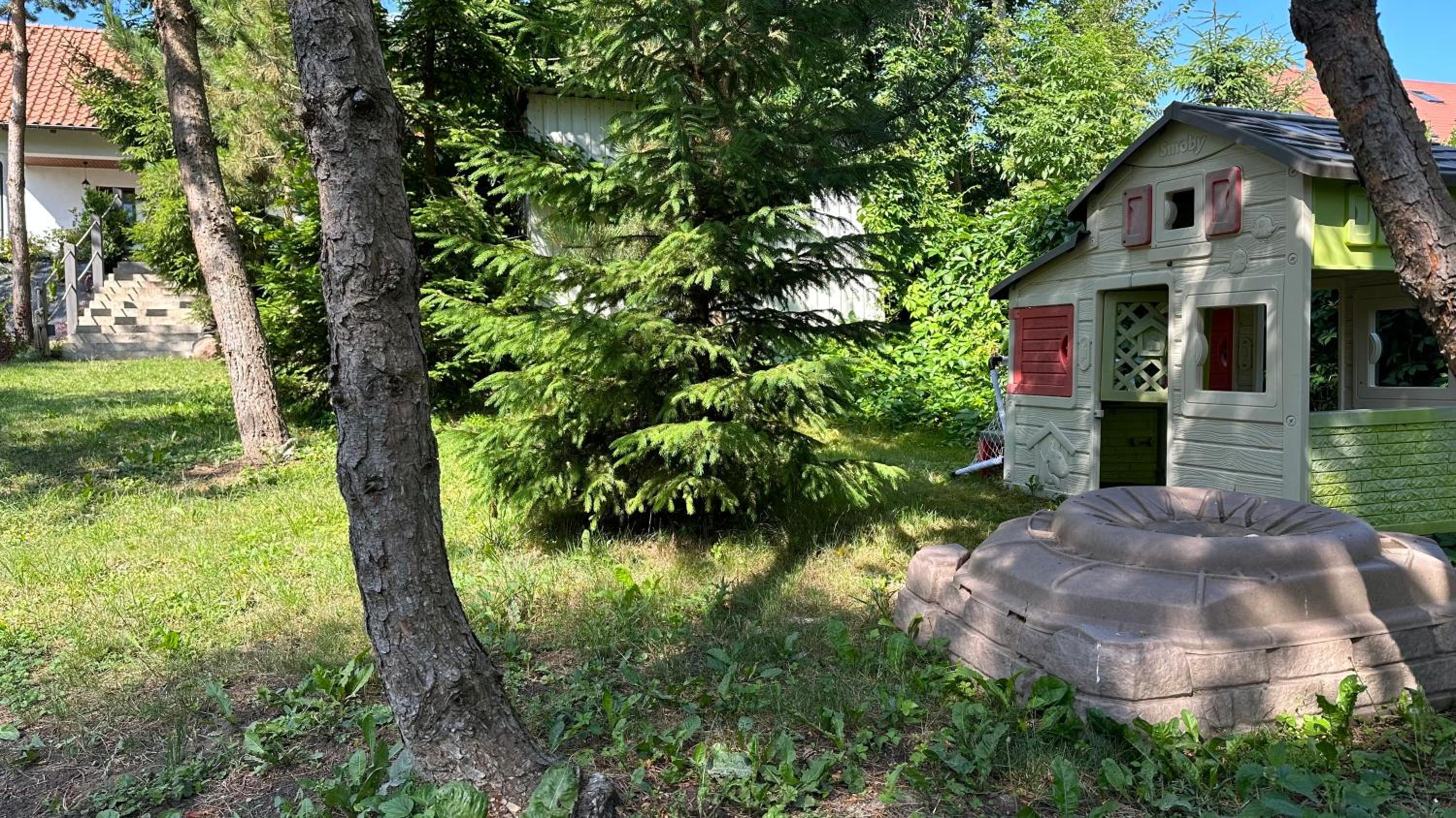 Photo 41