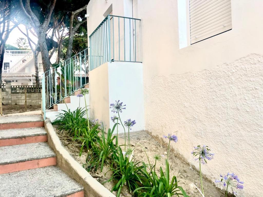 Apartamentos Luxury Mazagón