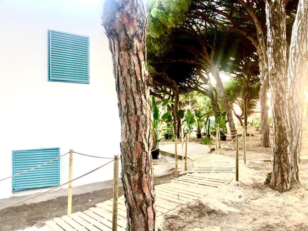 Apartamentos Luxury Mazagón
