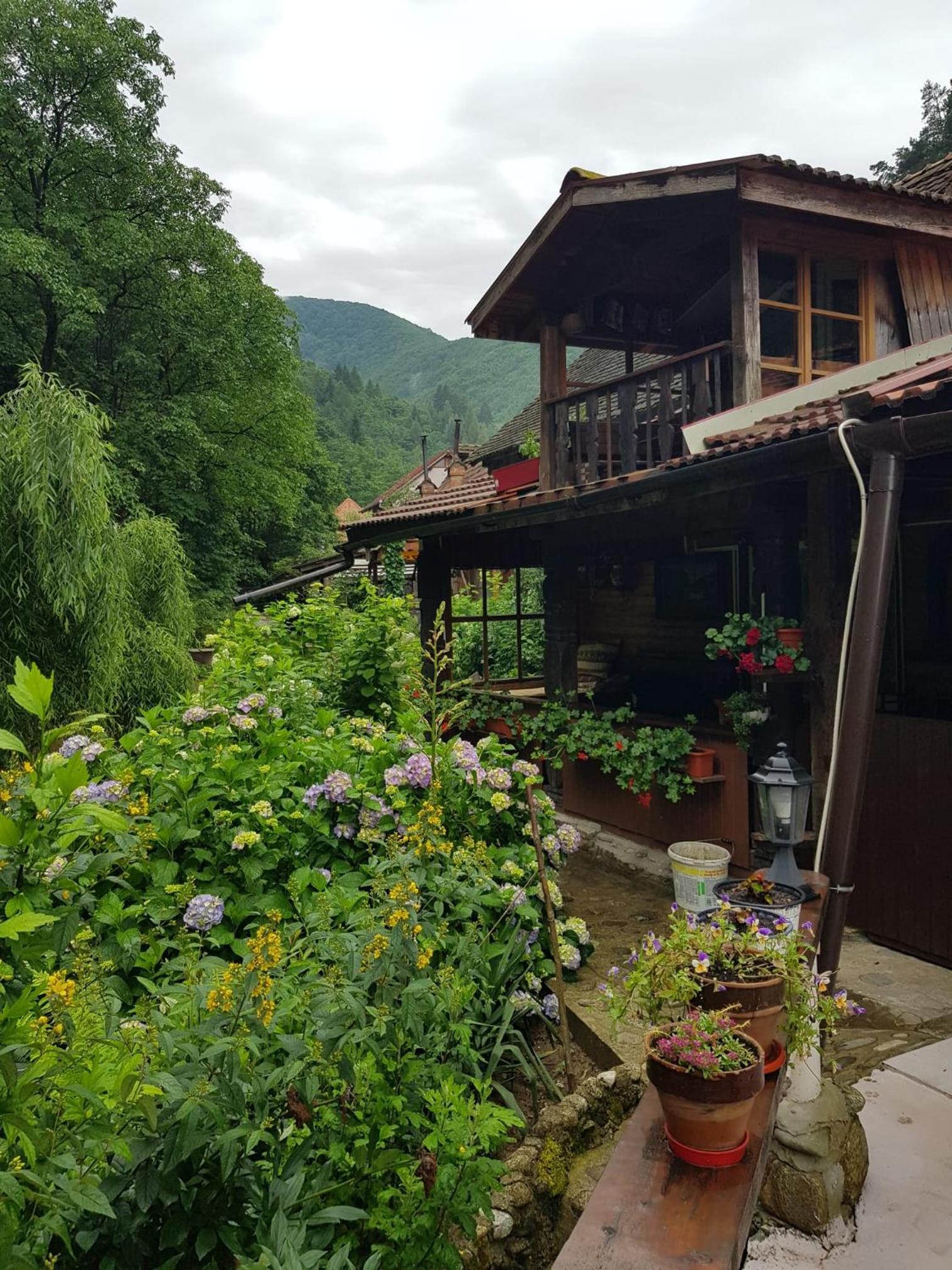 Pensiunea Mioritica view 4