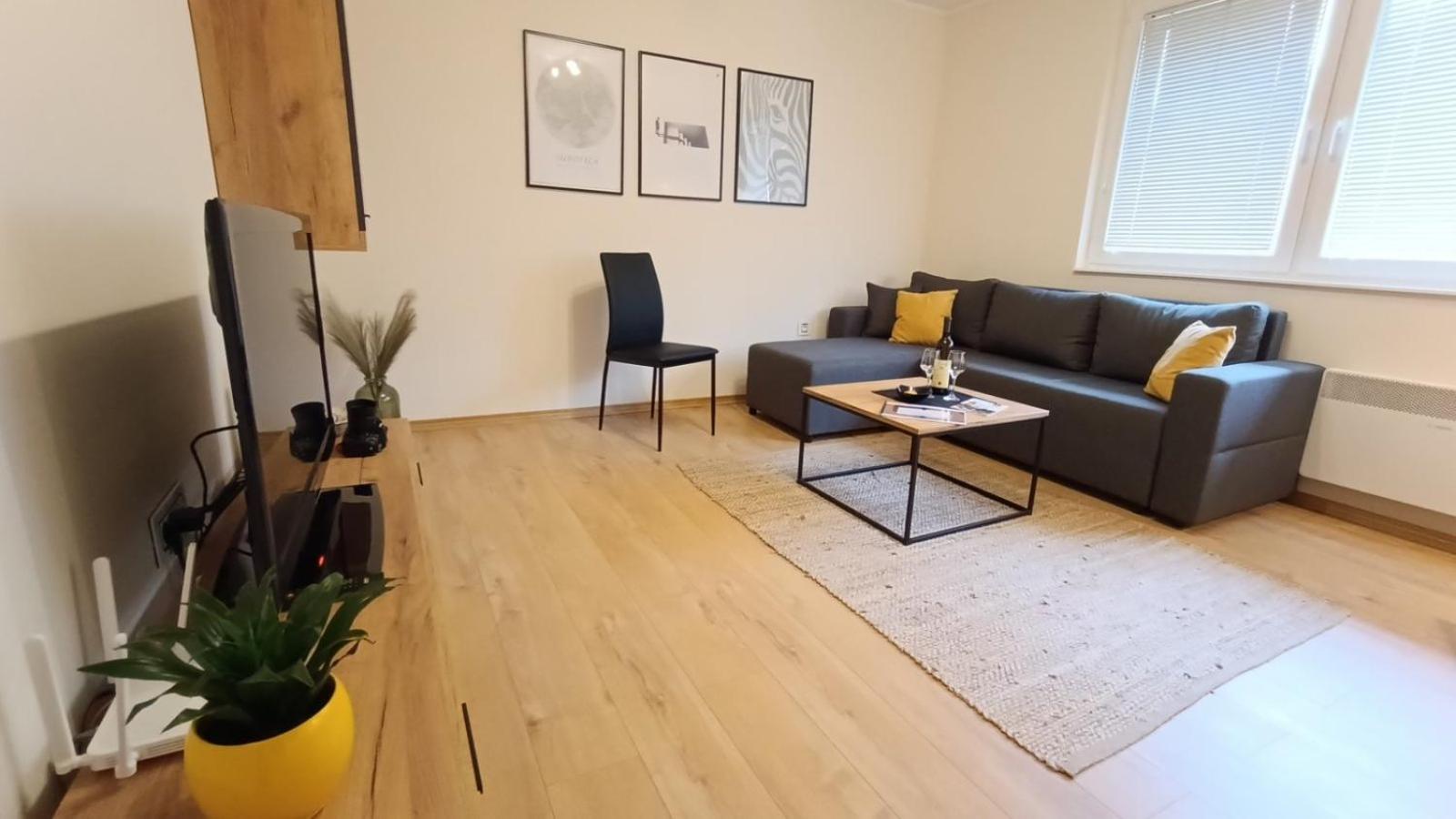 Apartman Taca view 5