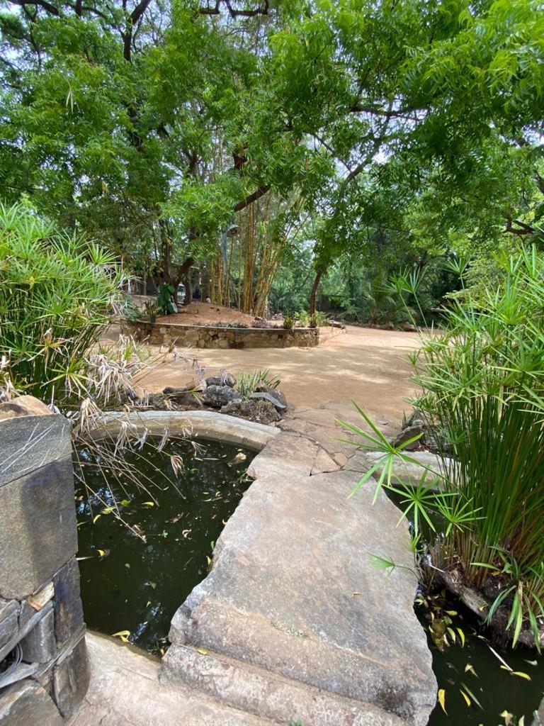 Yala Odyssey view 4
