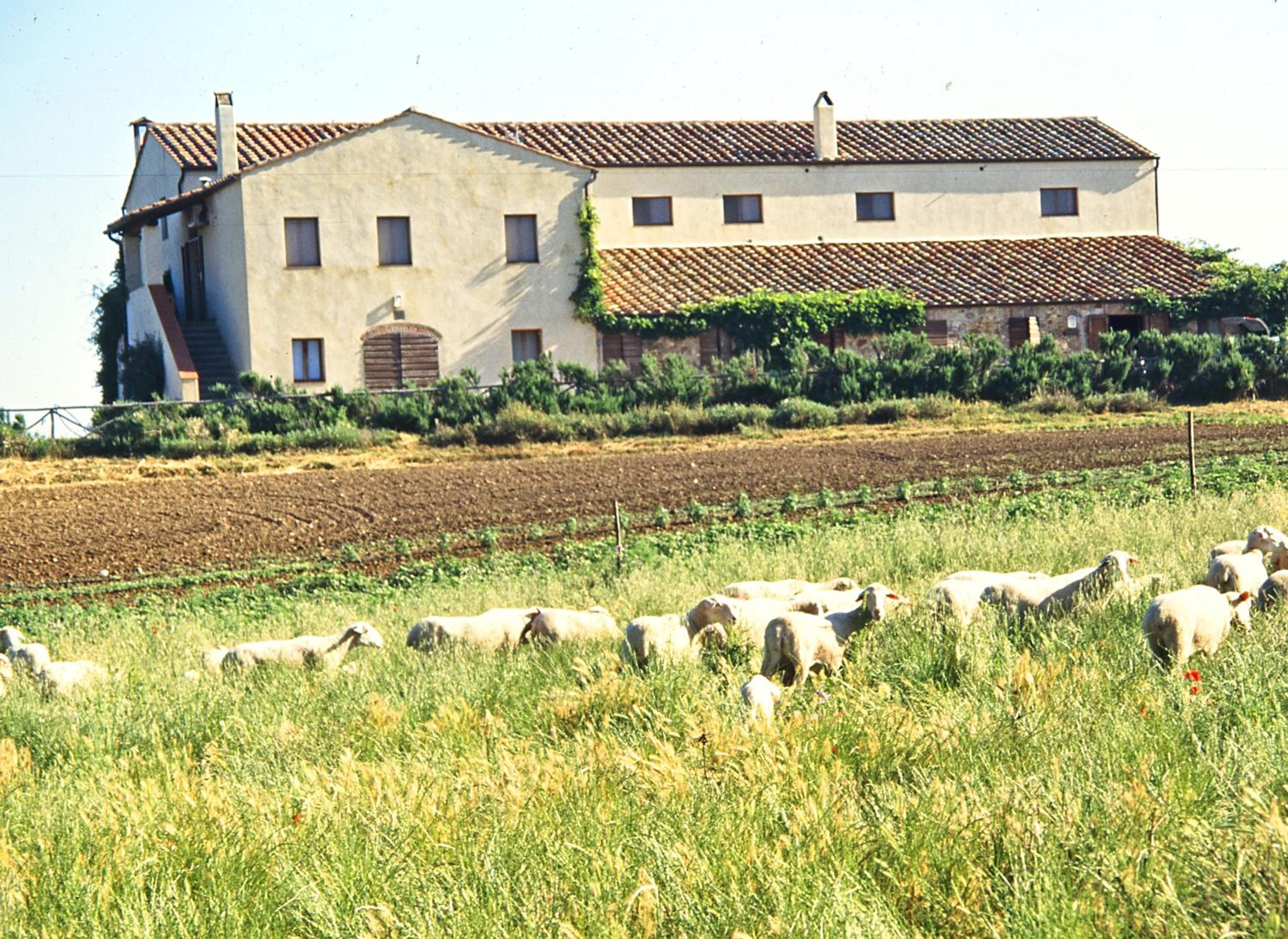LaSelva