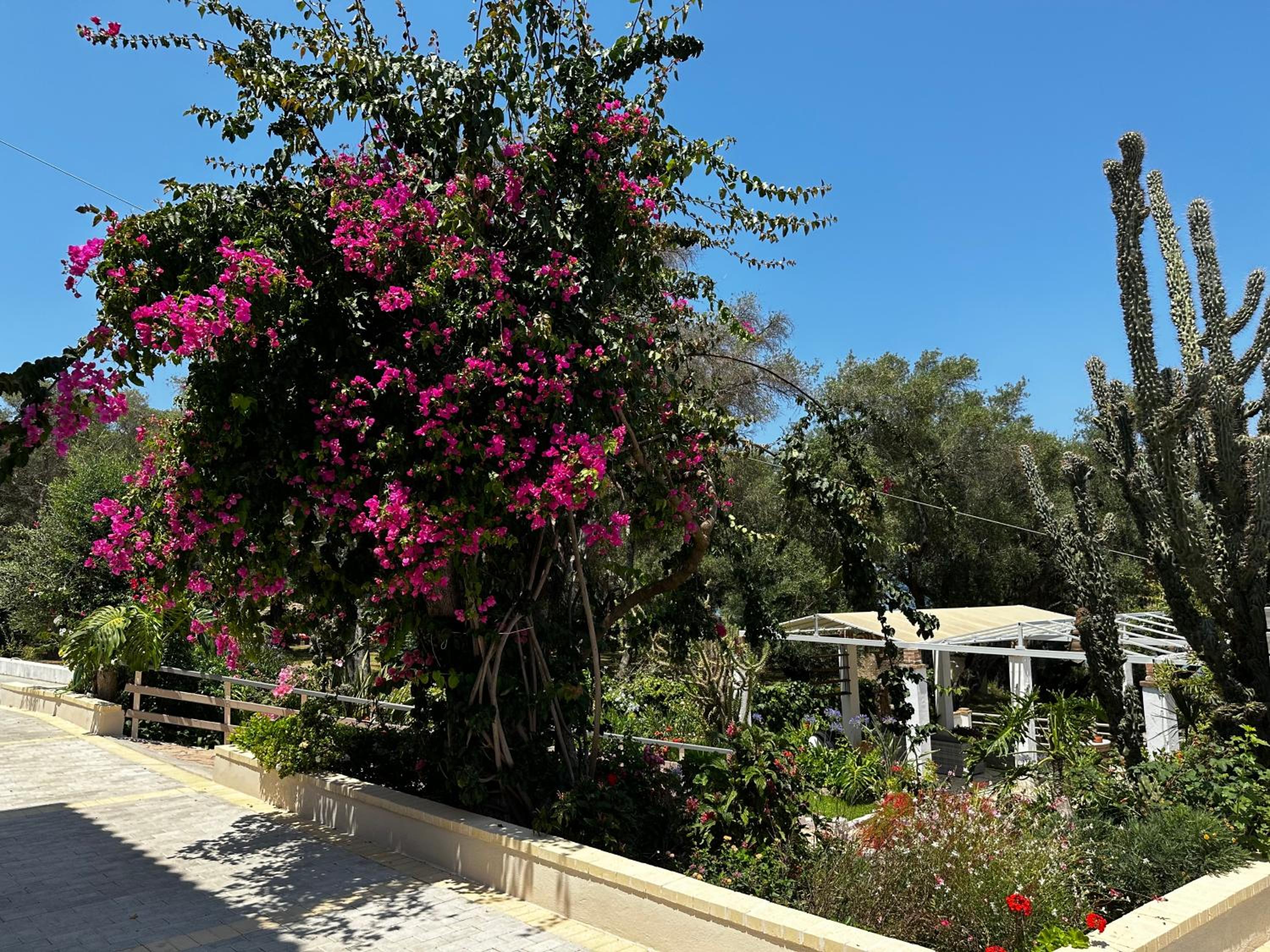 Photo 25