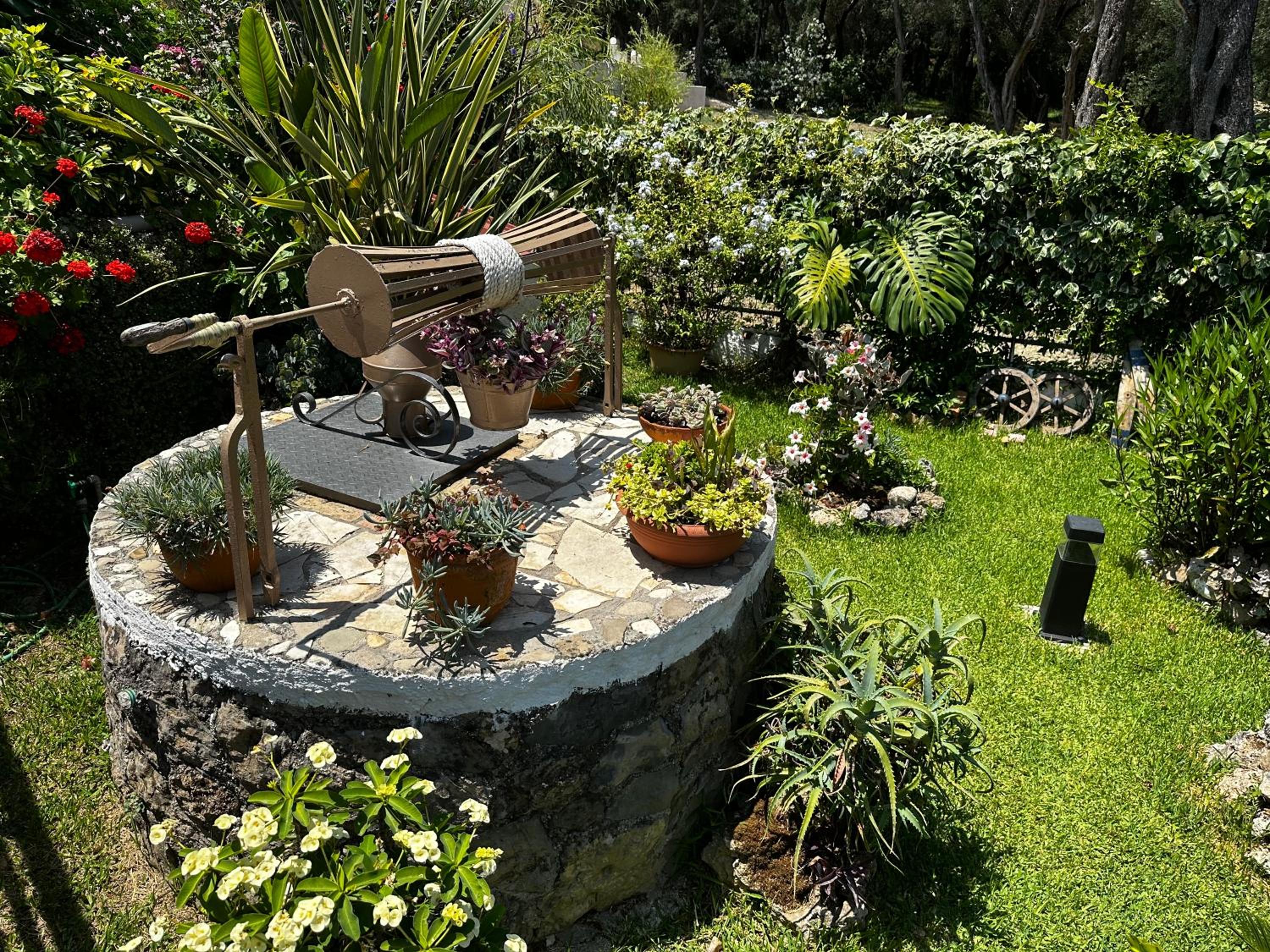 Photo 21