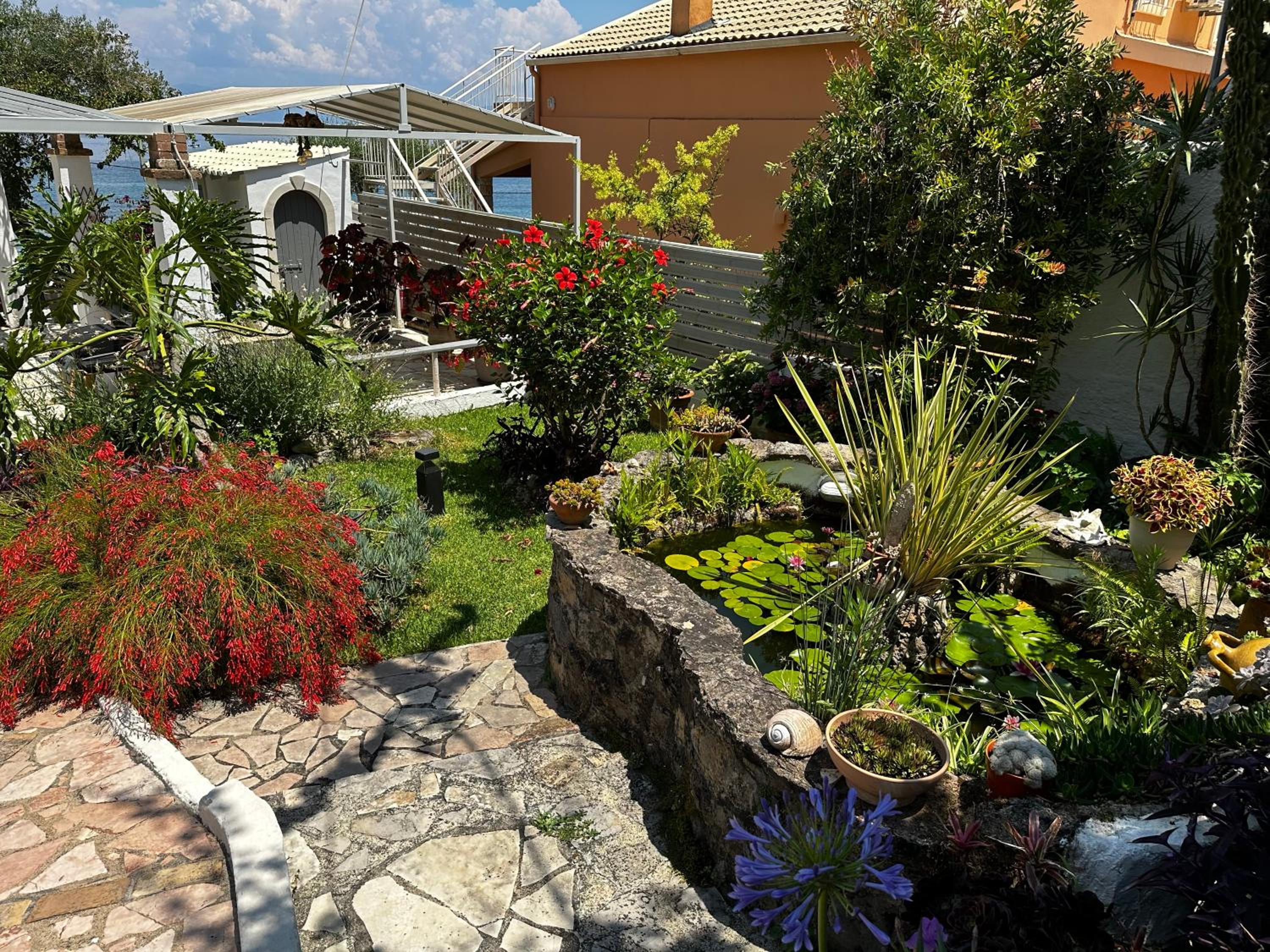 Photo 22